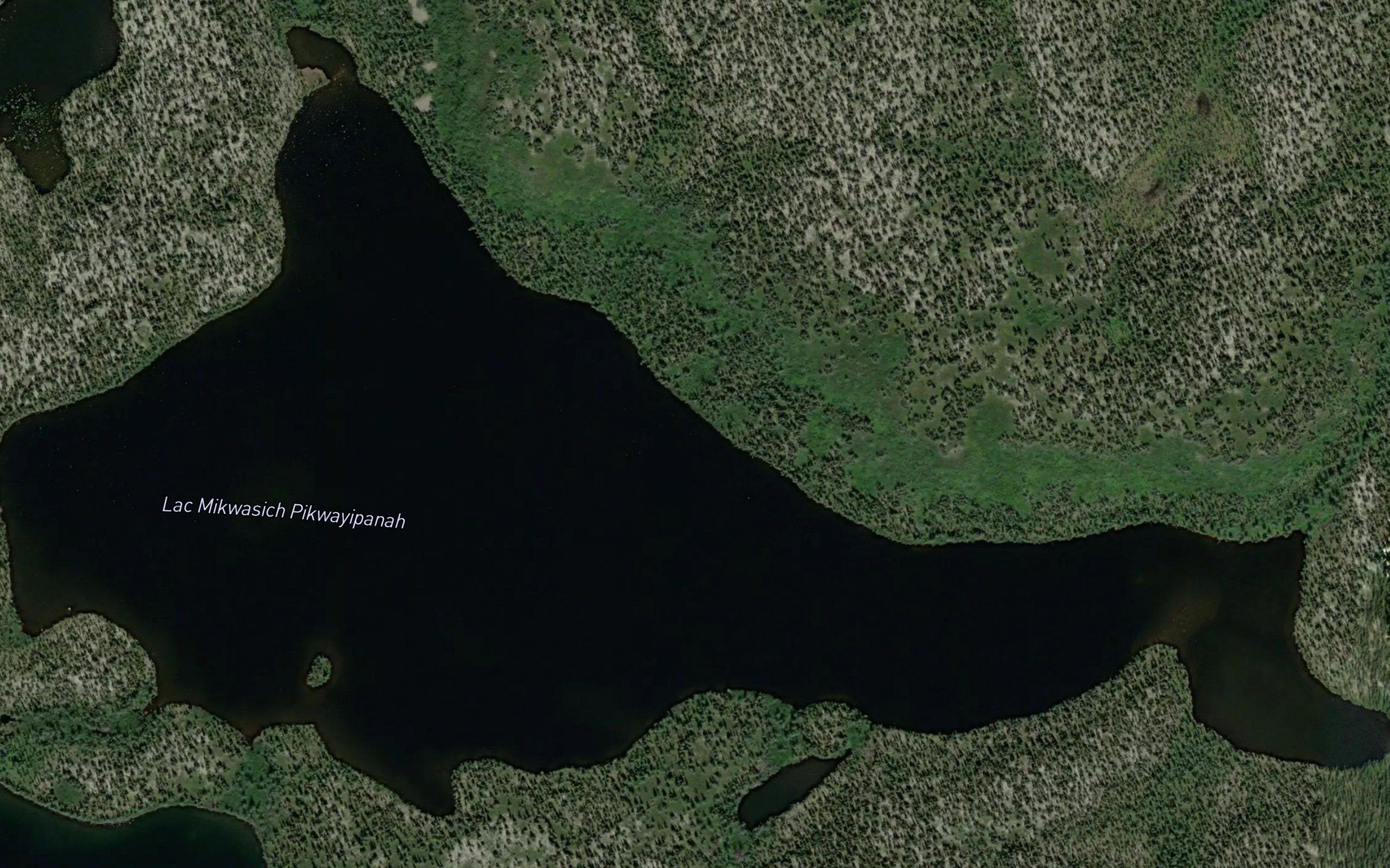 Lac Mikwasich Pikwayipanah
