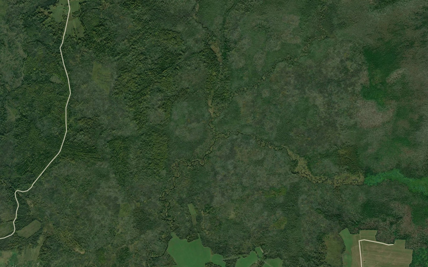 Satellite map of the Chernaya
