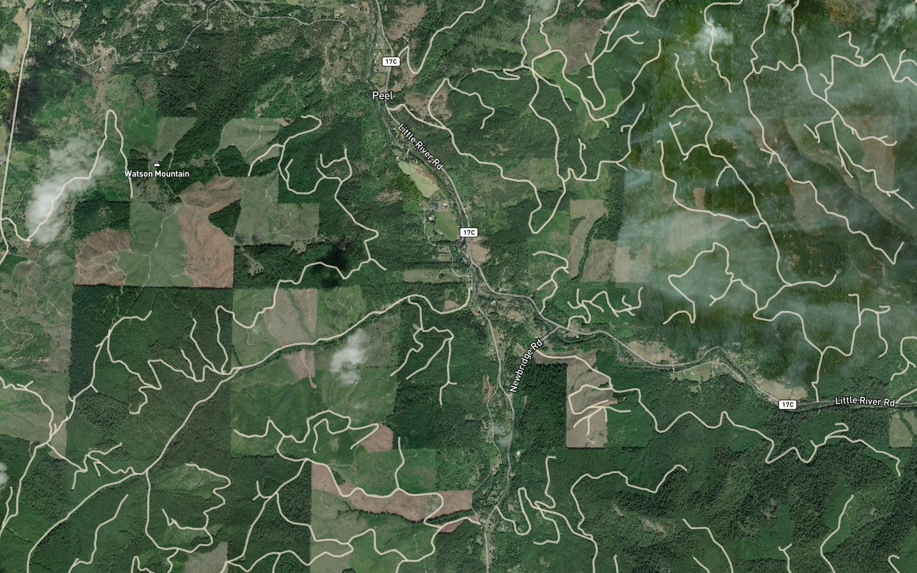 Satellite map of the McCaffery Pond