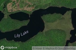 Lily Lake