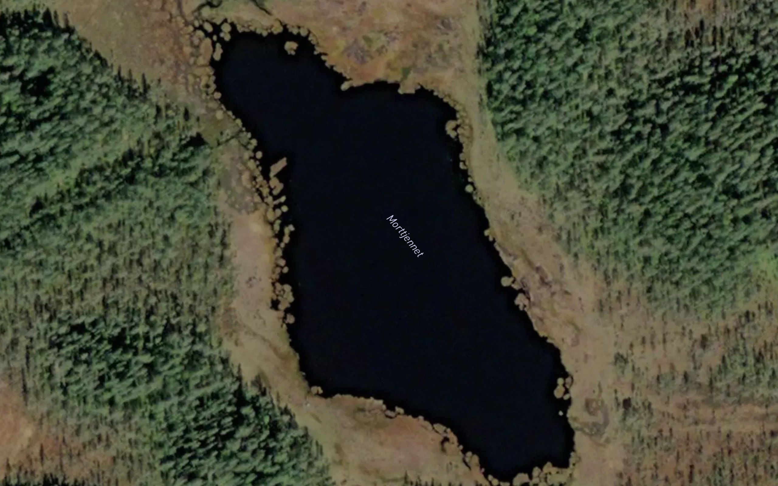 Morttjernet