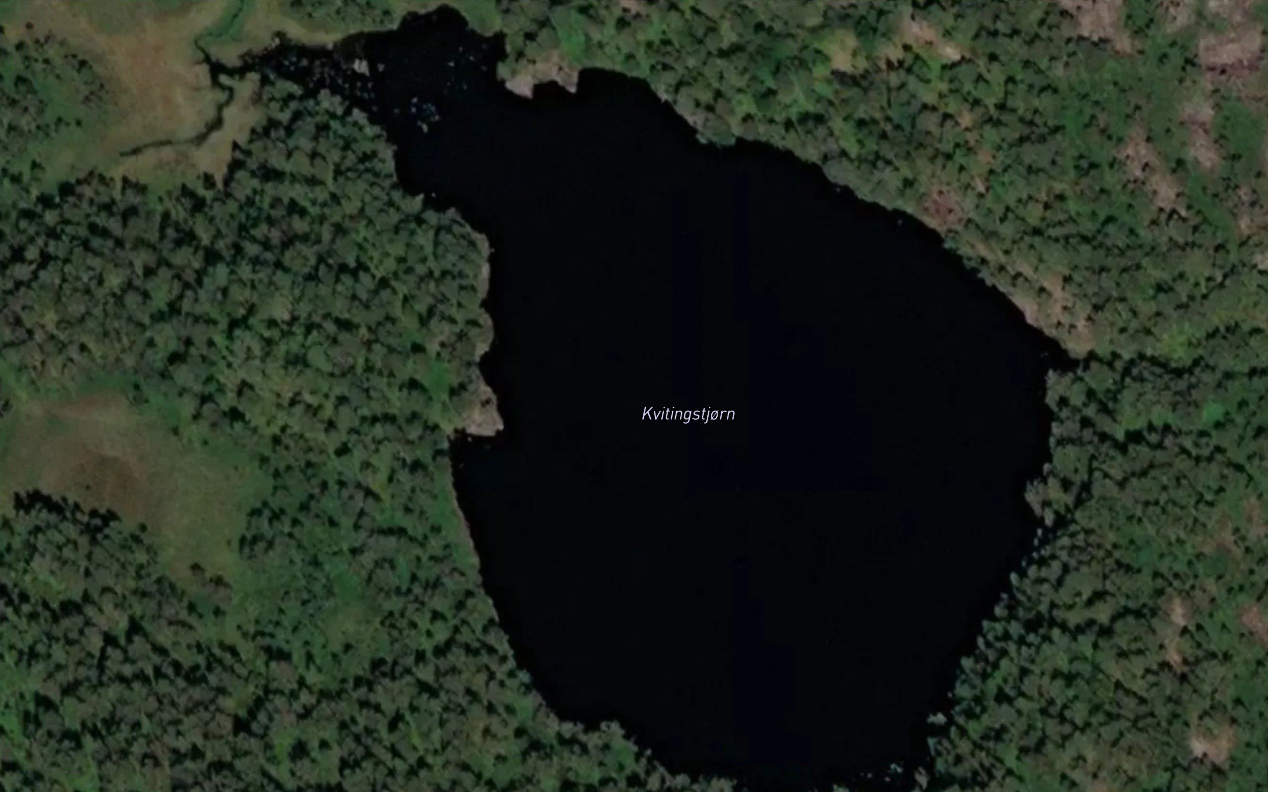 Kvitingstjorn