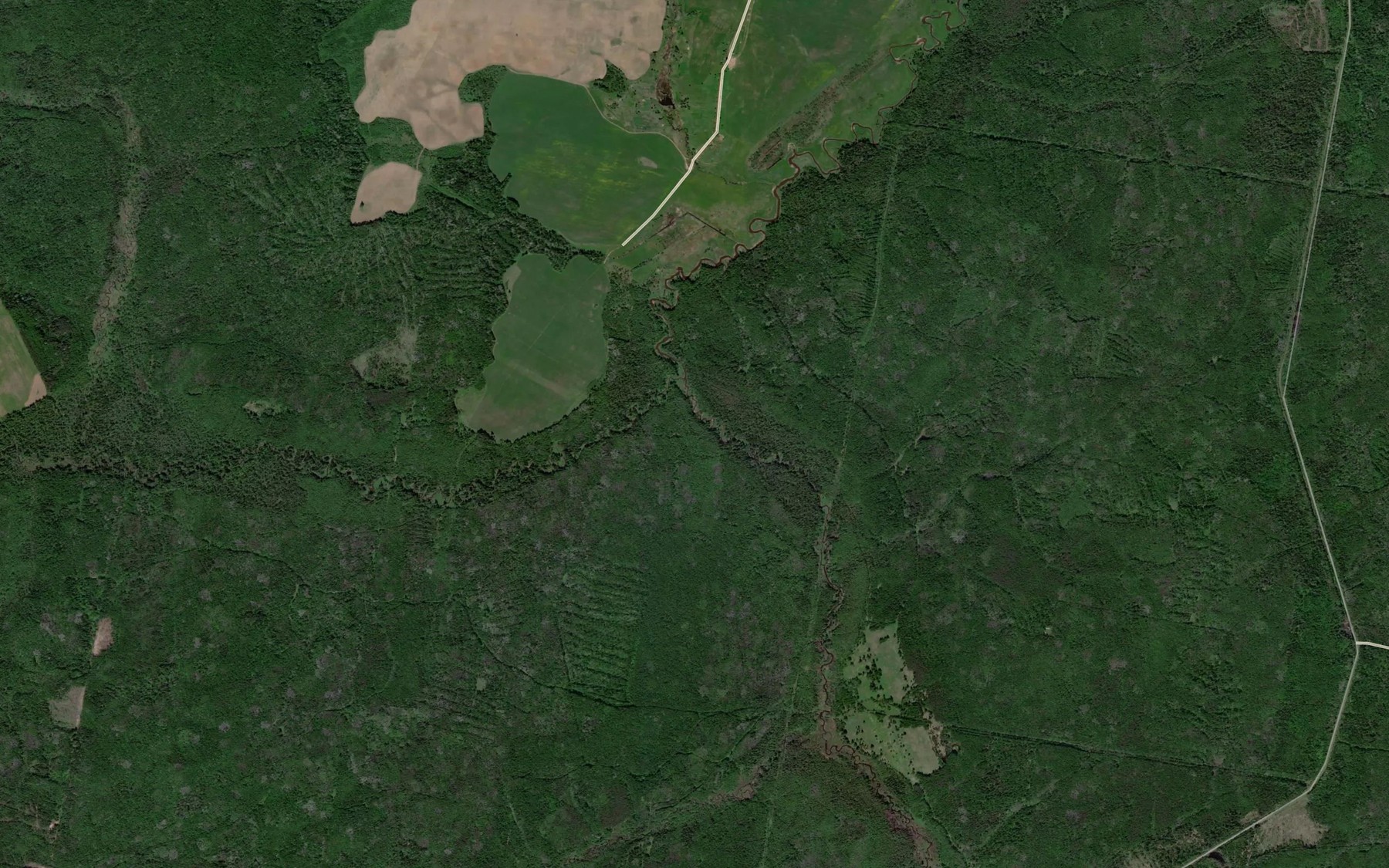 Satellite map of the Umka