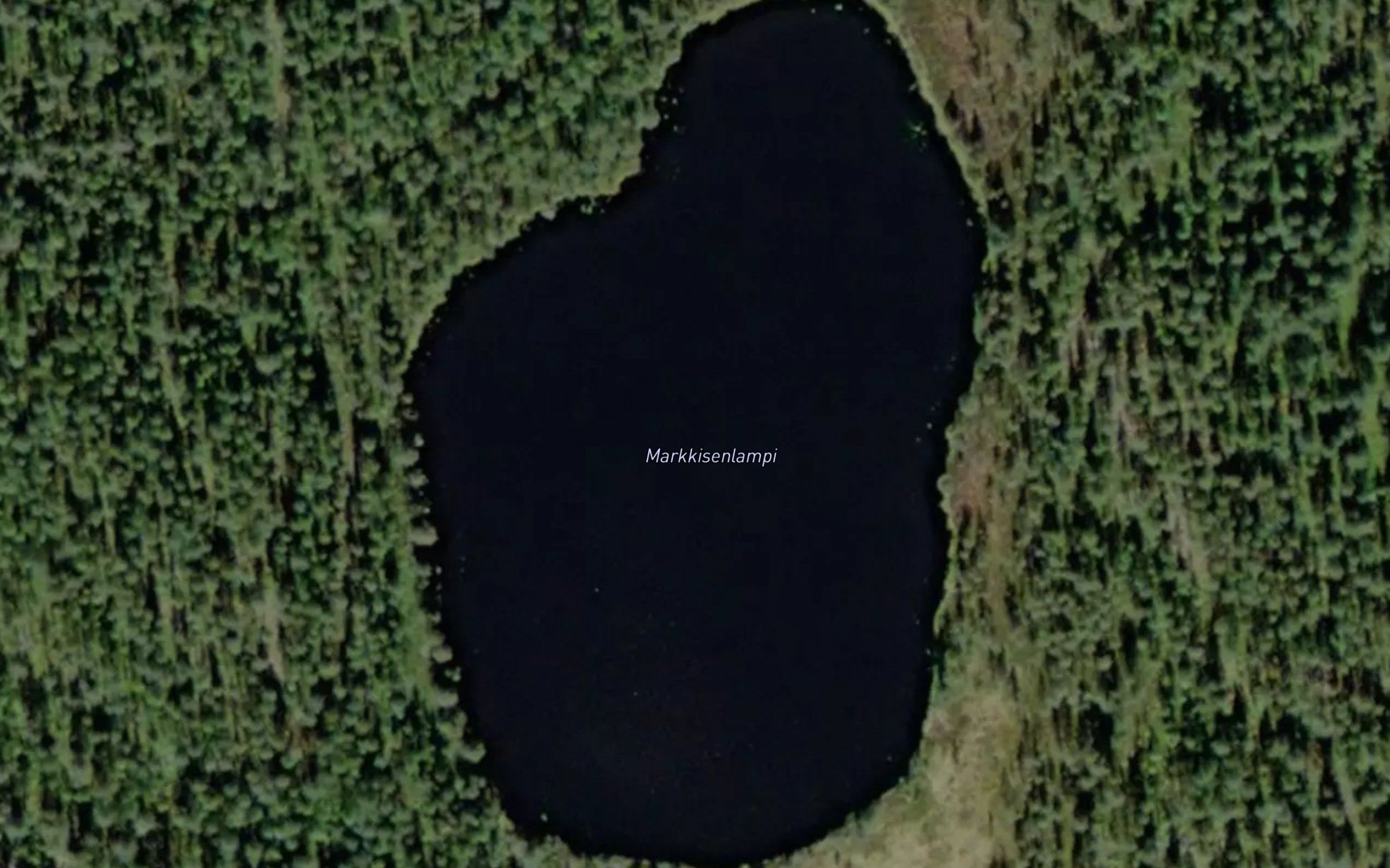 Markkisenlampi