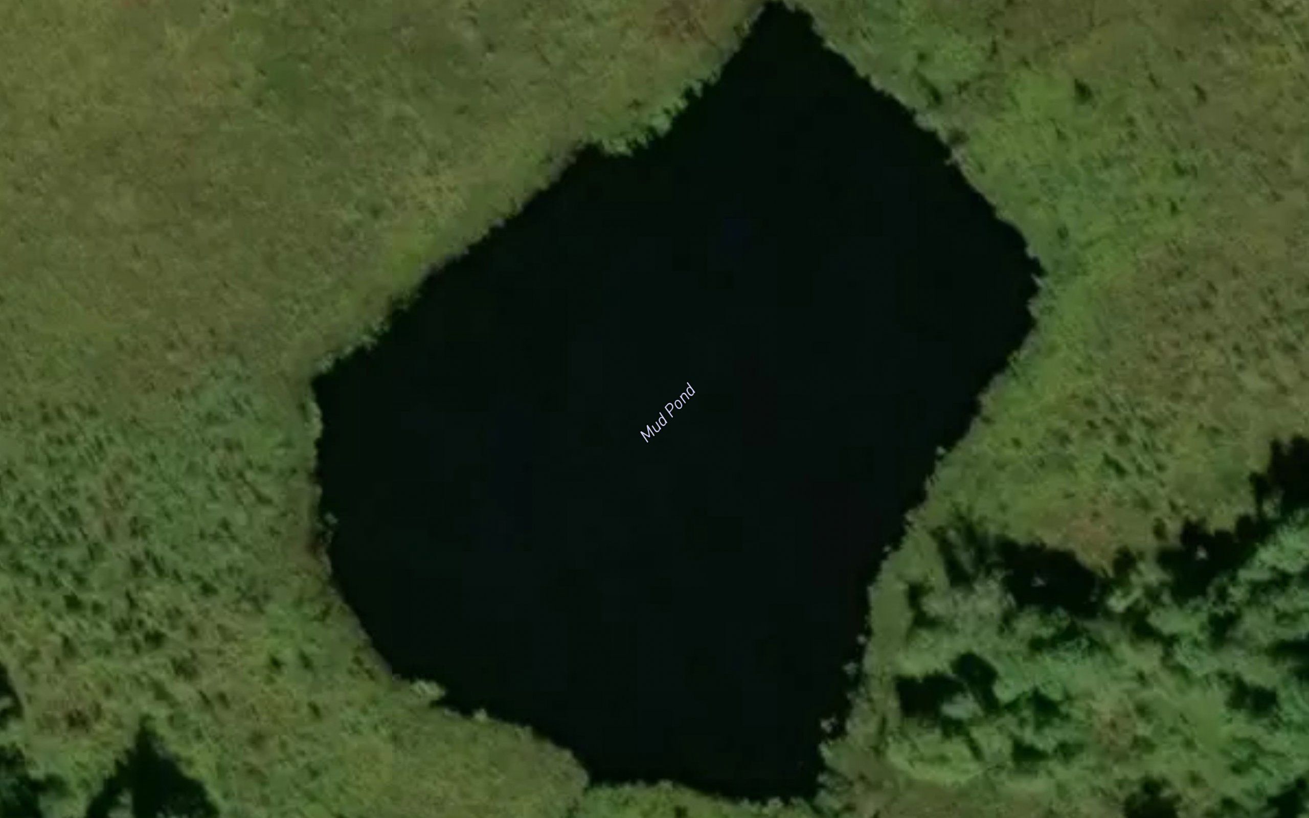 Mud Pond