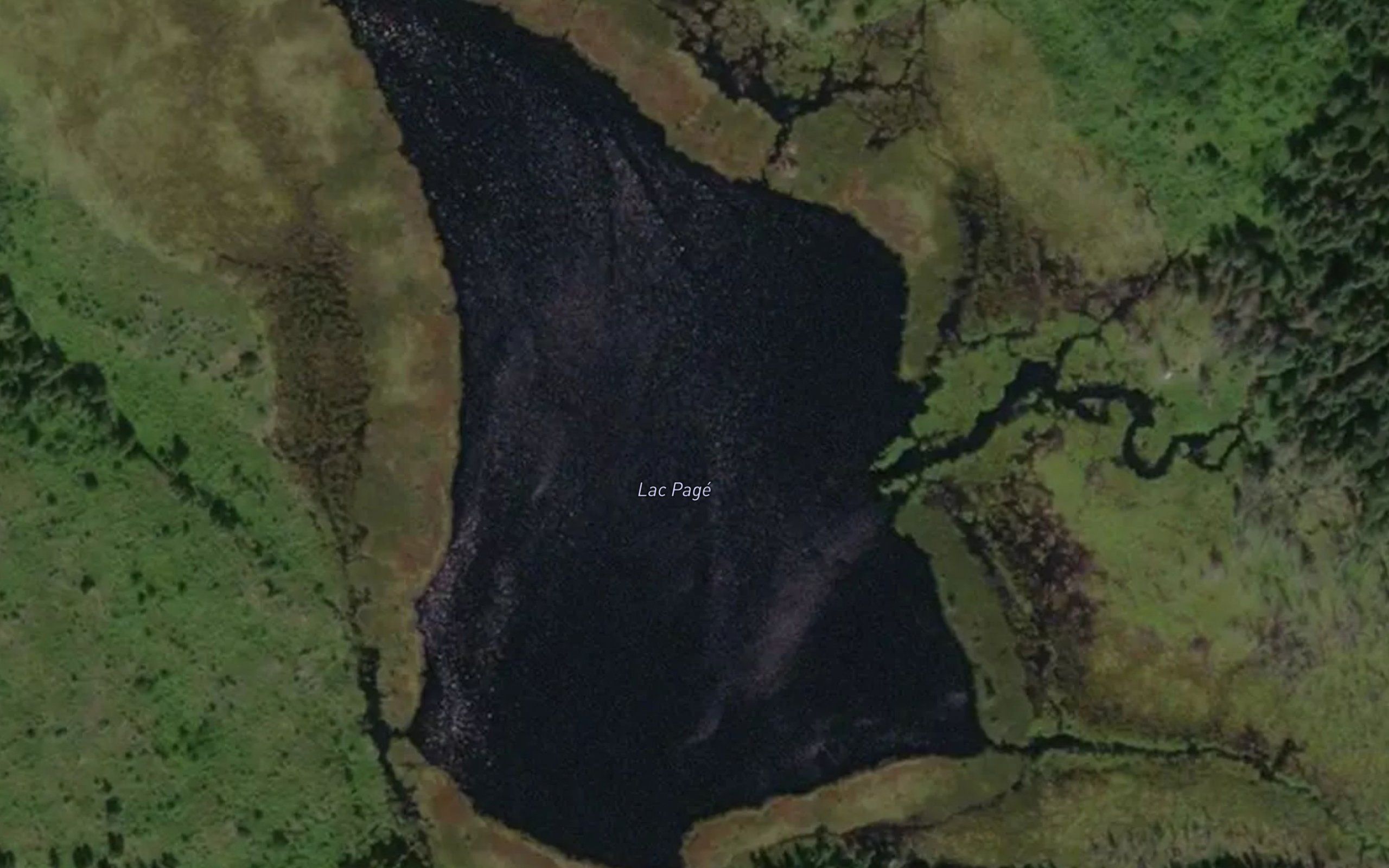 Lac Page