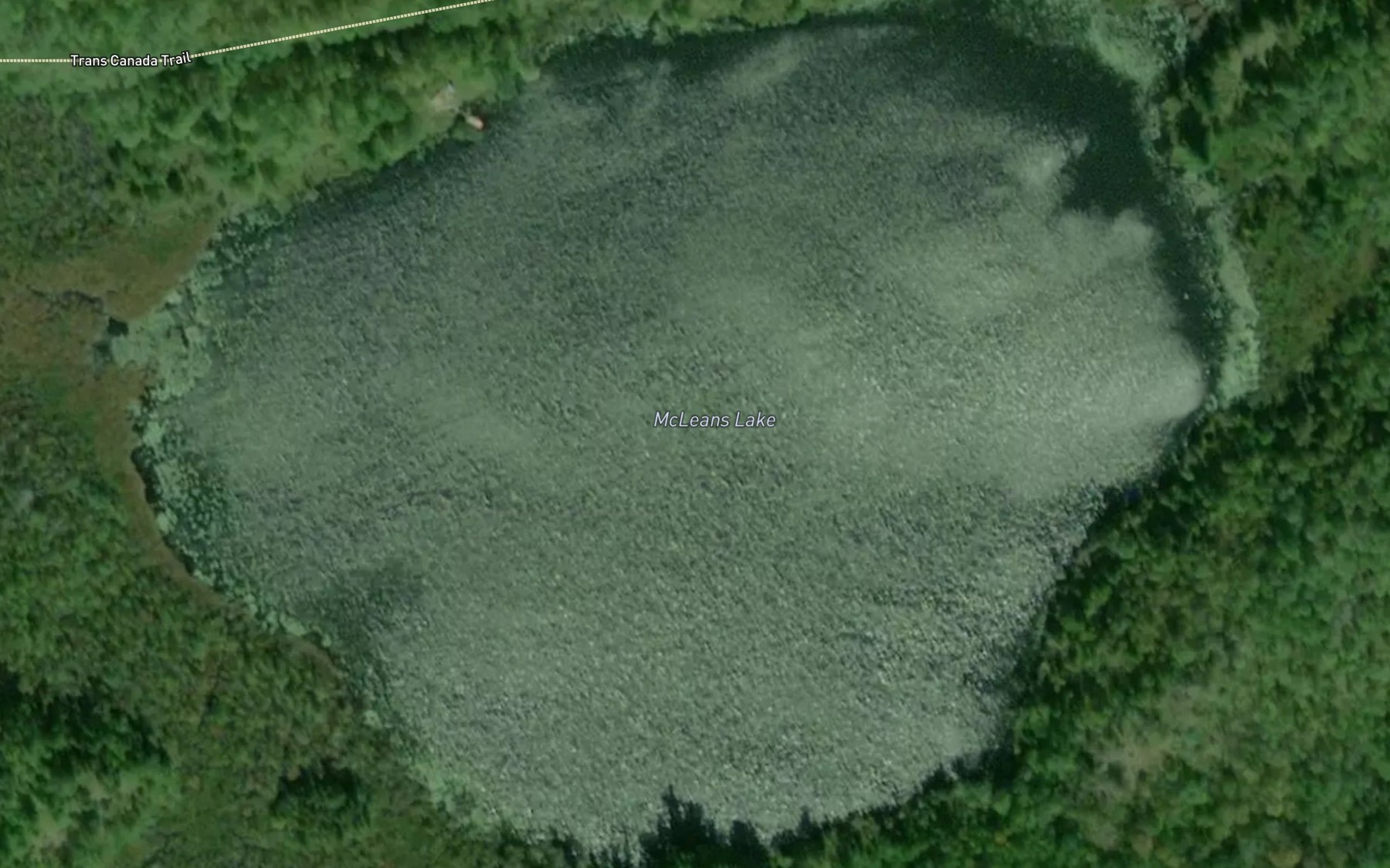 Satellite map of the McLeans Lake