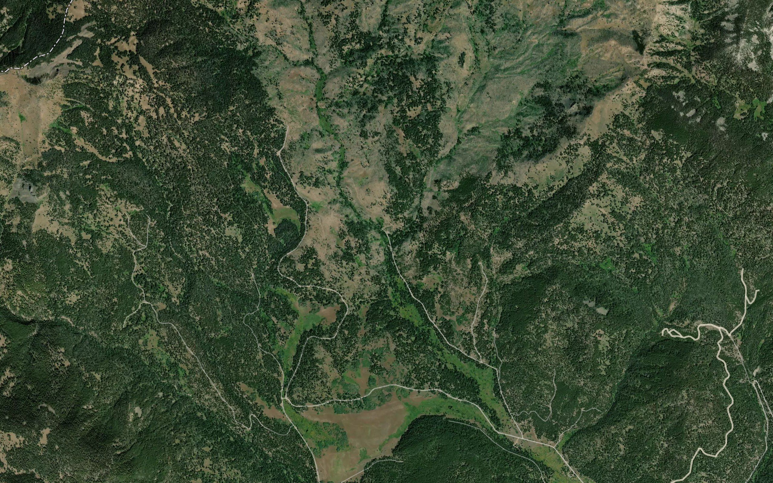 Trail Creek