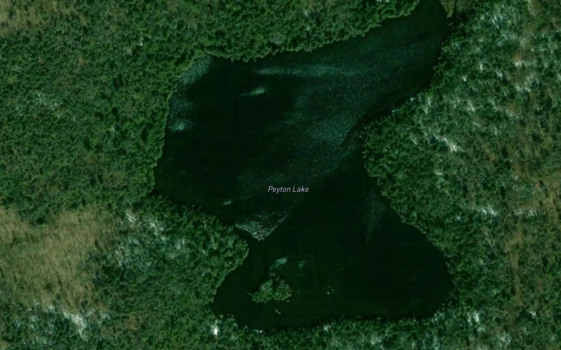 Satellite map of the Peyton Lake