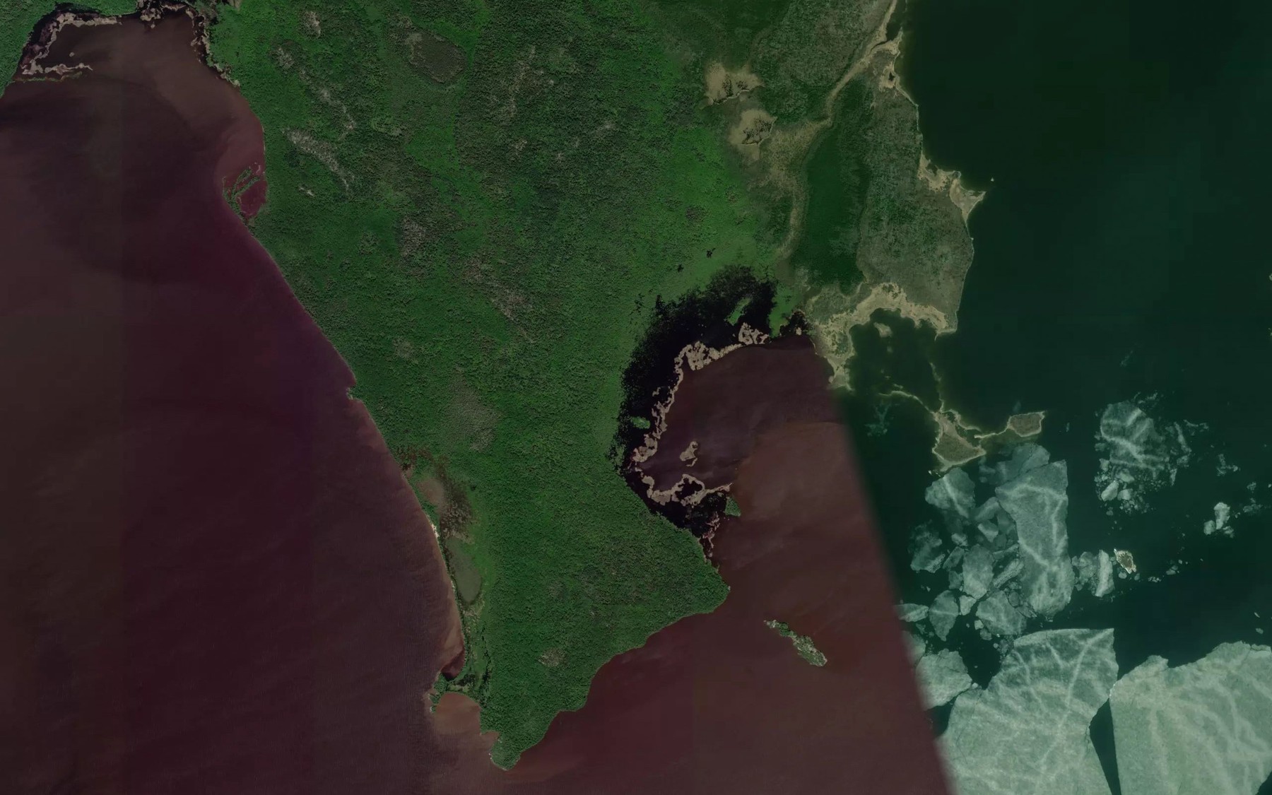Satellite map of the McCauley Bay