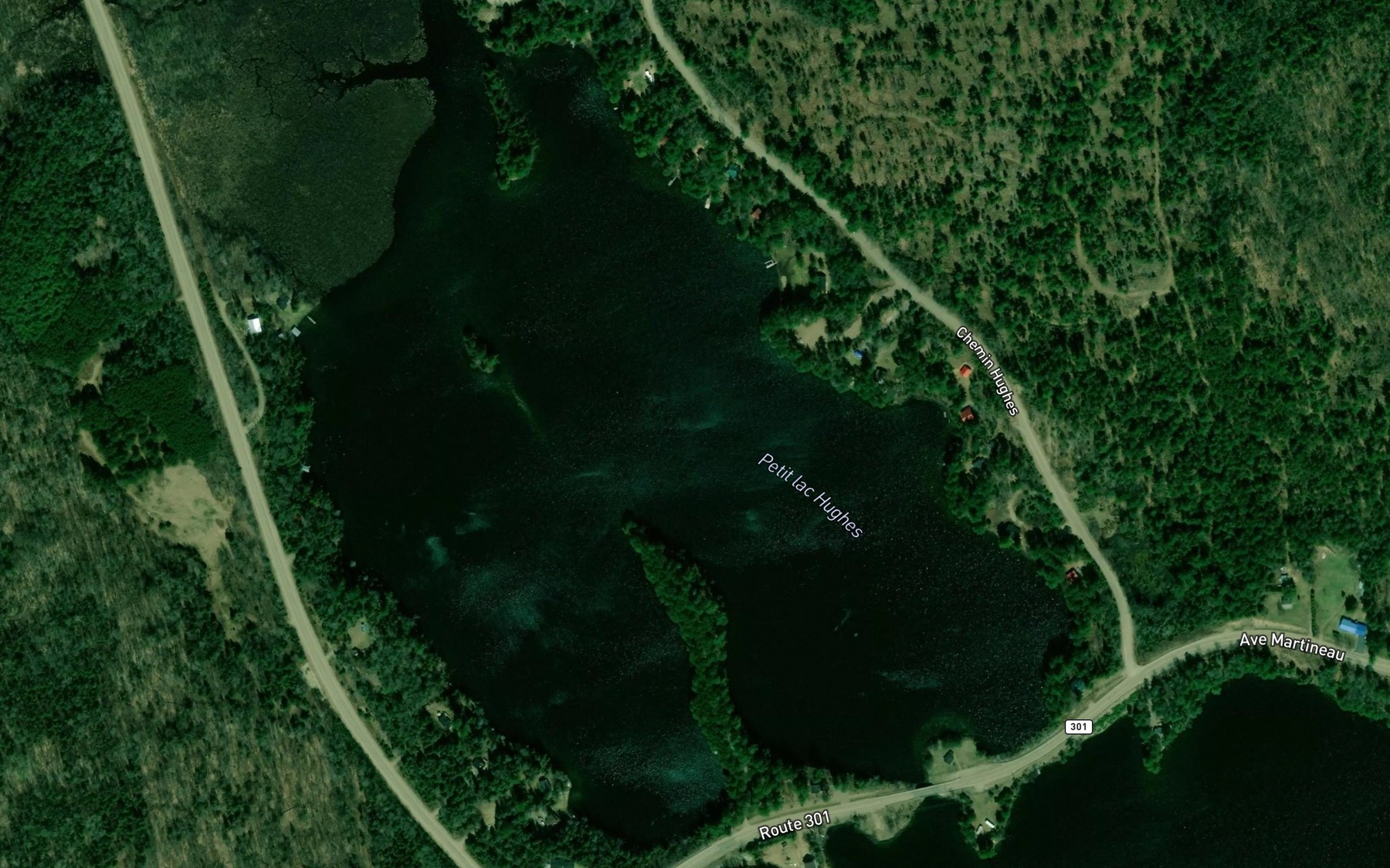 Satellite map of the Petit lac Hughes