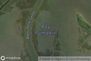 Bay Pumpkin