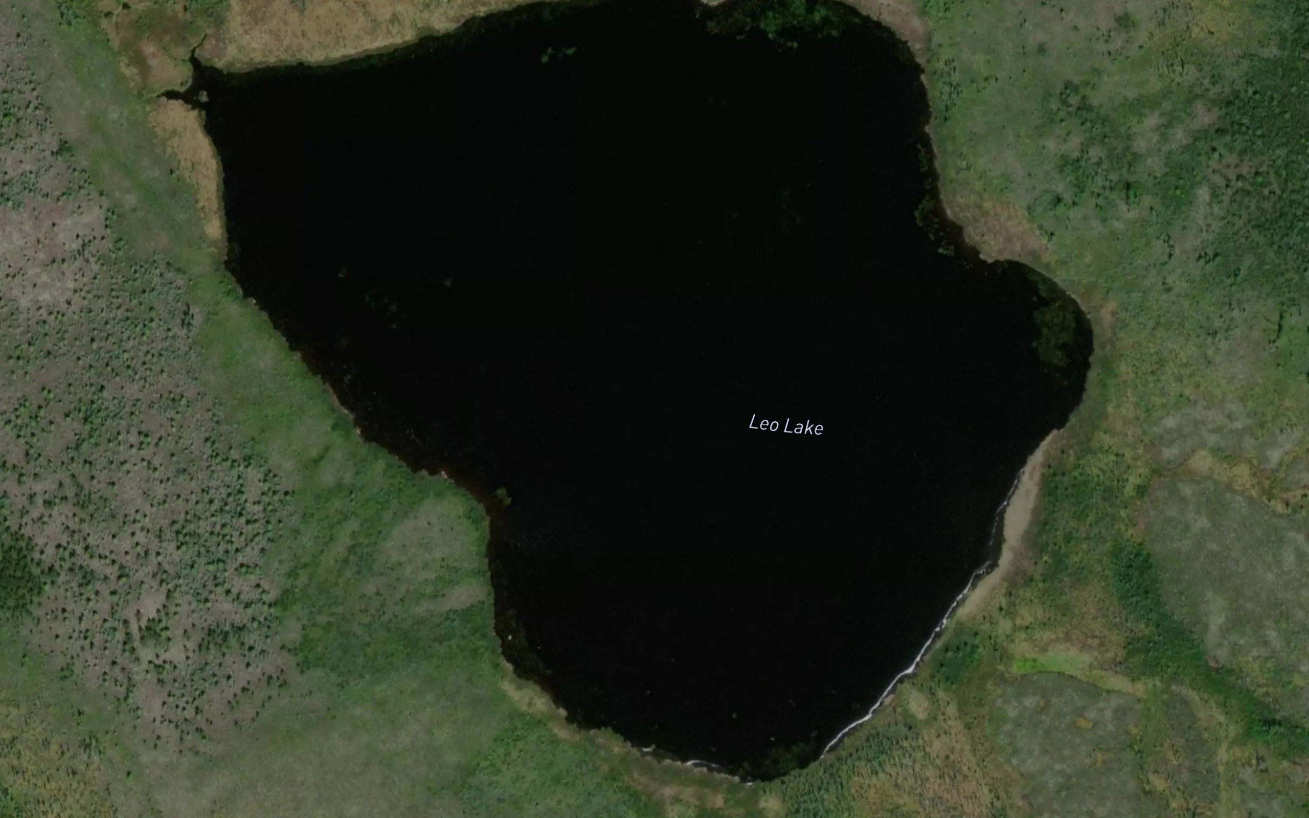 Leo Lake