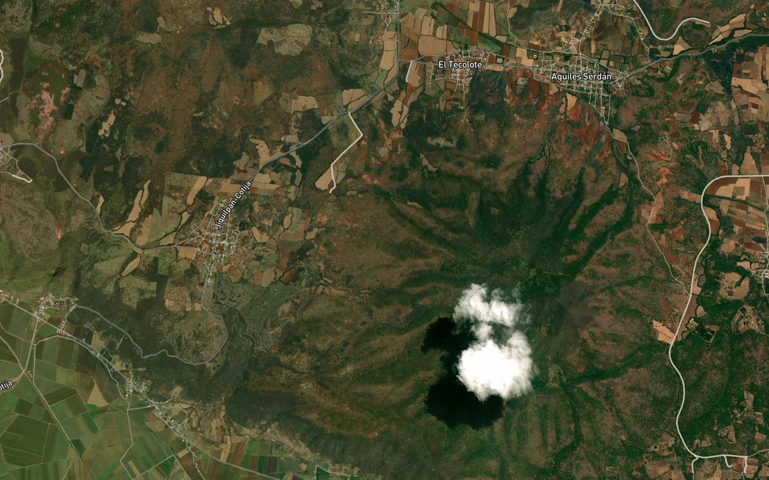 Barranca El Pino