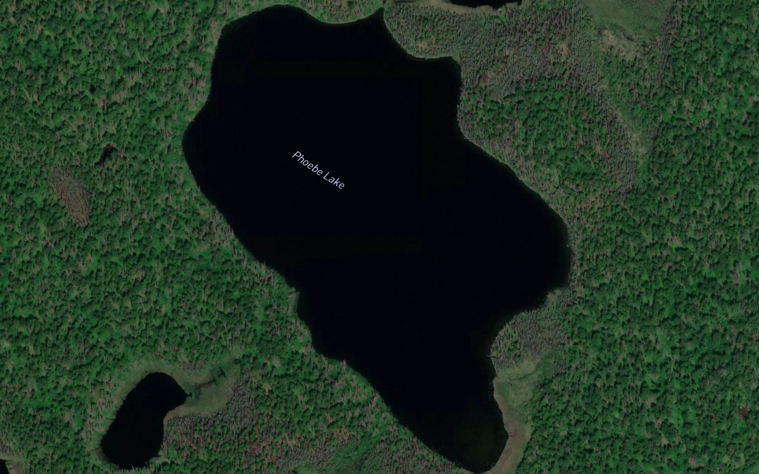 Phoebe Lake