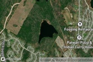 Feely Lake