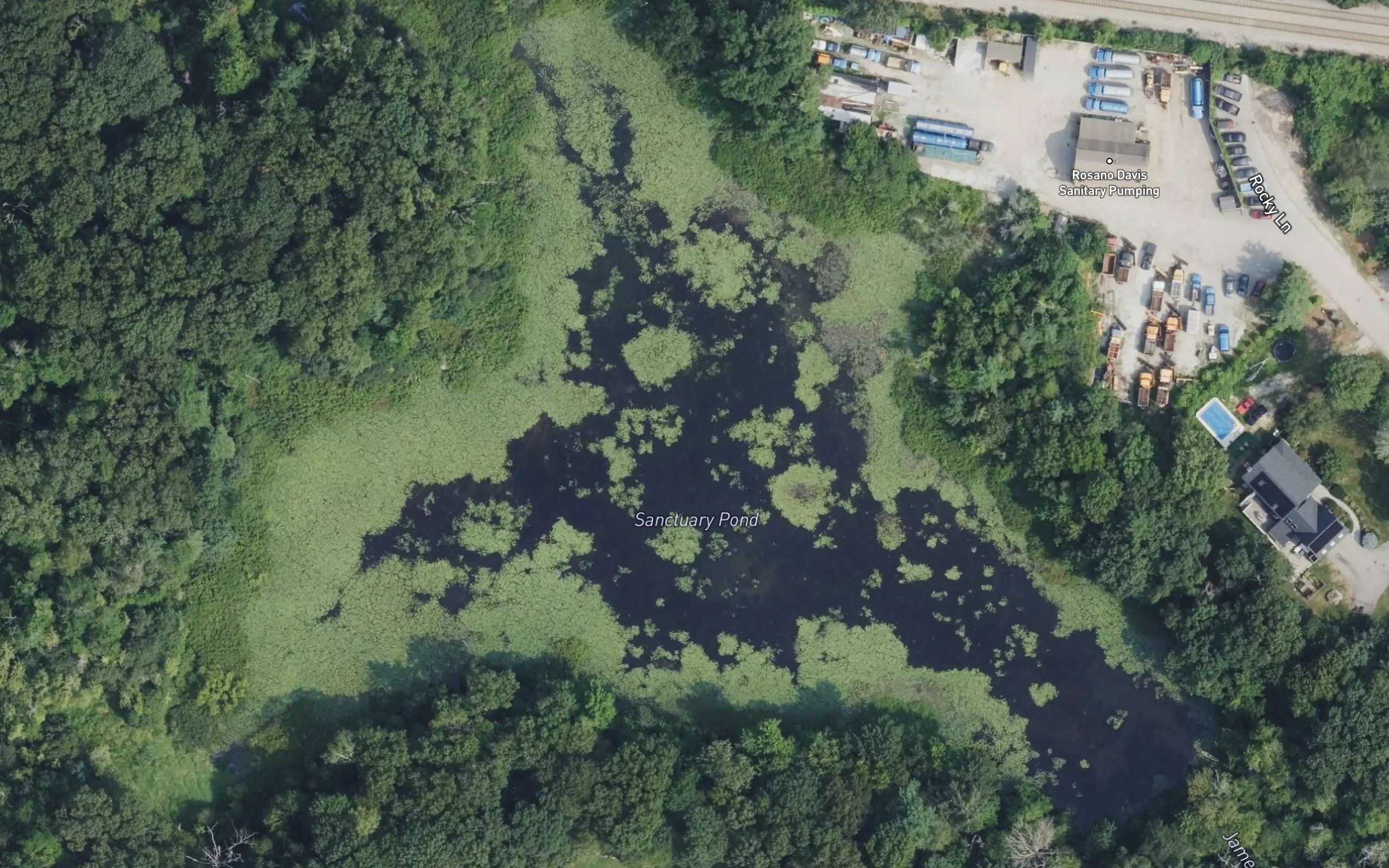 Sanctuary Pond