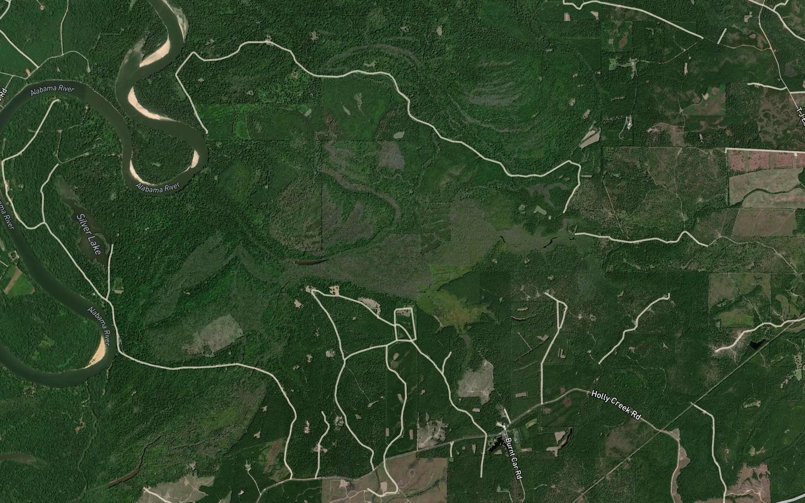 Turkey Creek