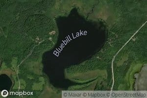 Bluebill Lake