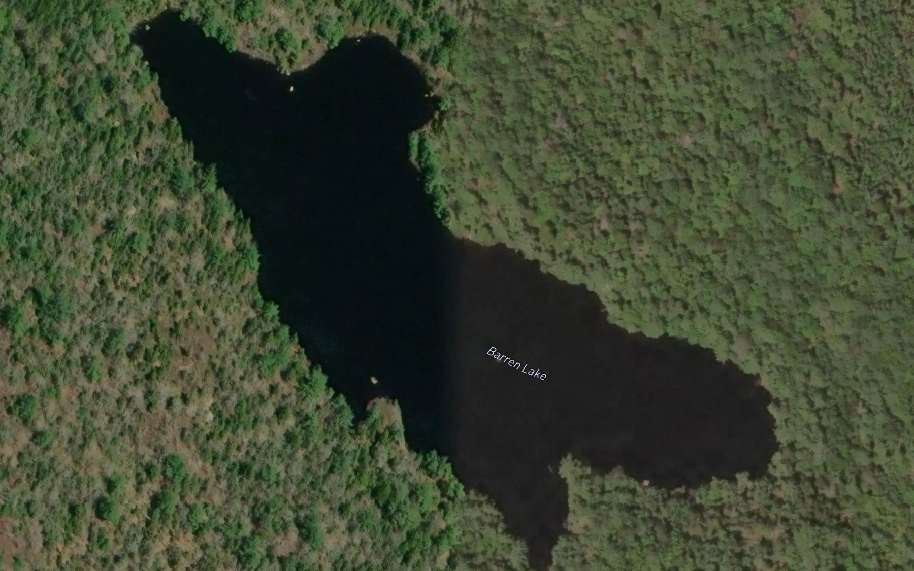 Satellite map of the Barren Lake