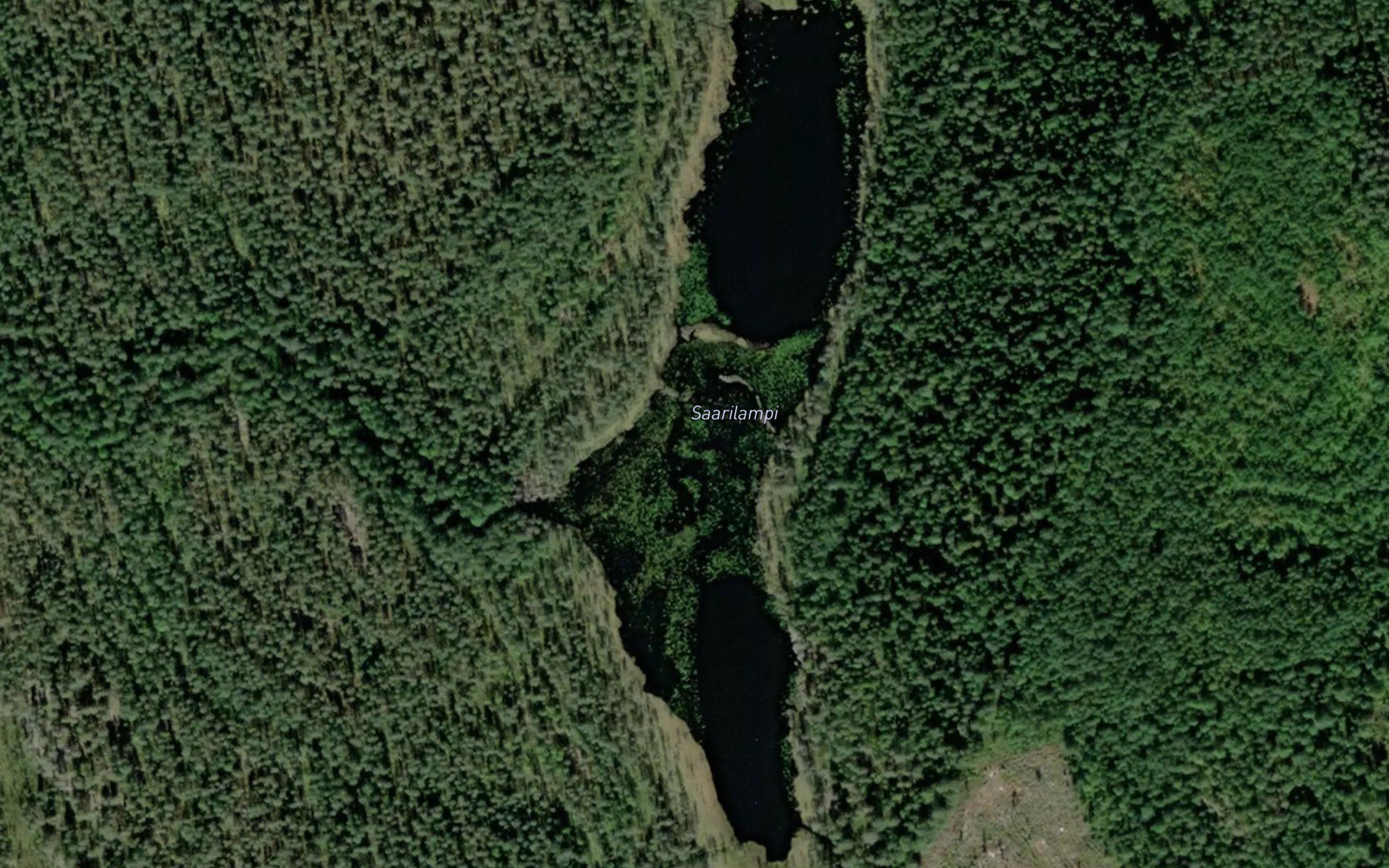 Saarilampi