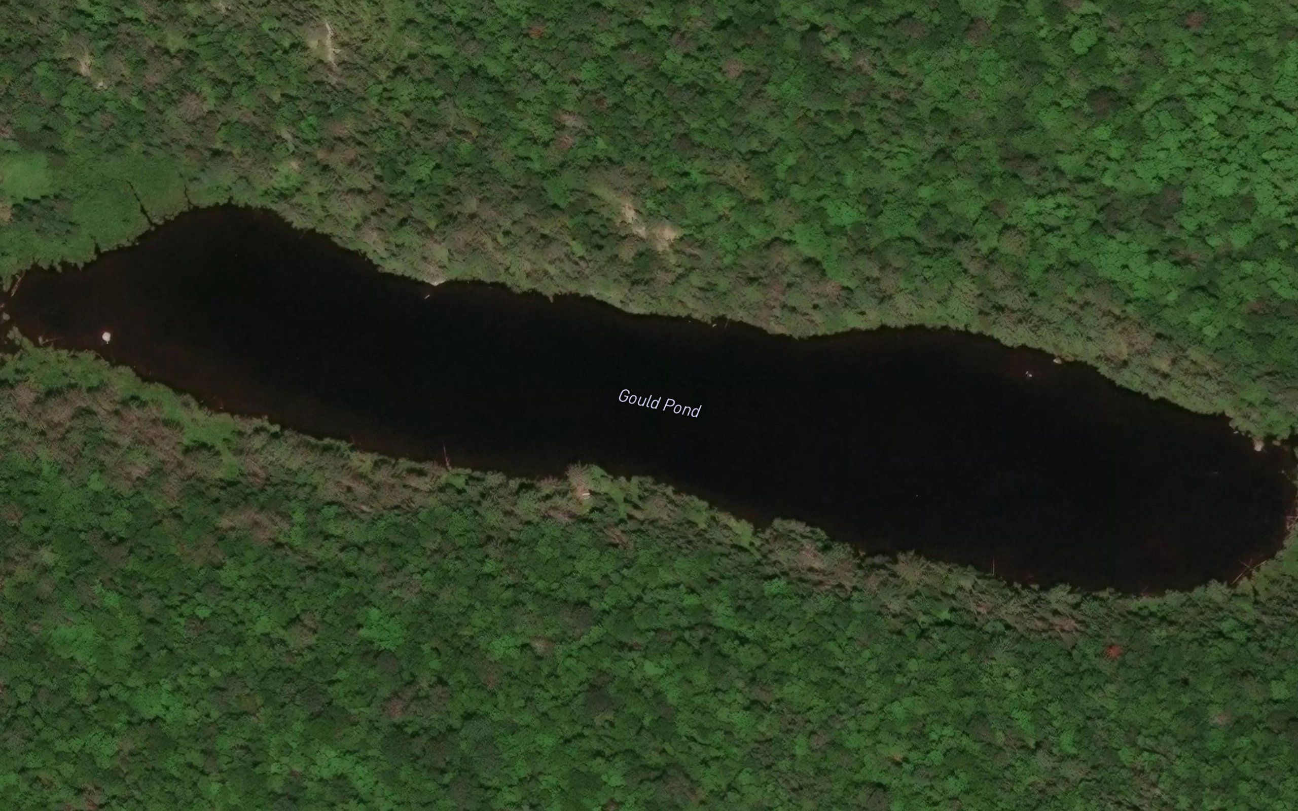 Gould Pond