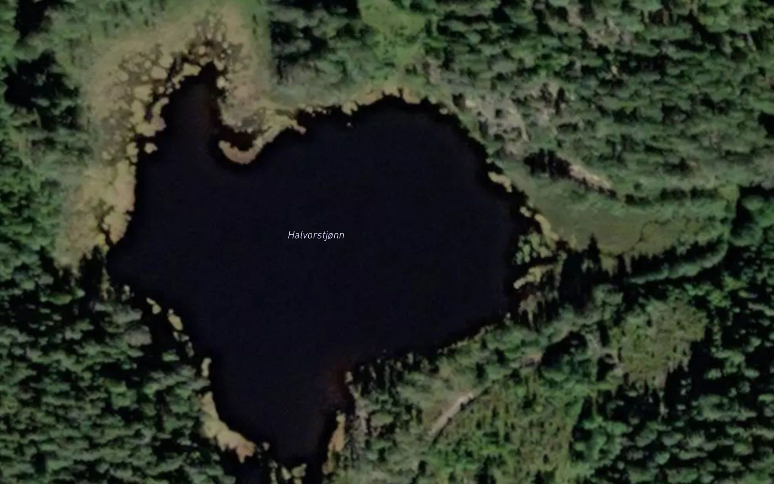 Hallvorstjorn