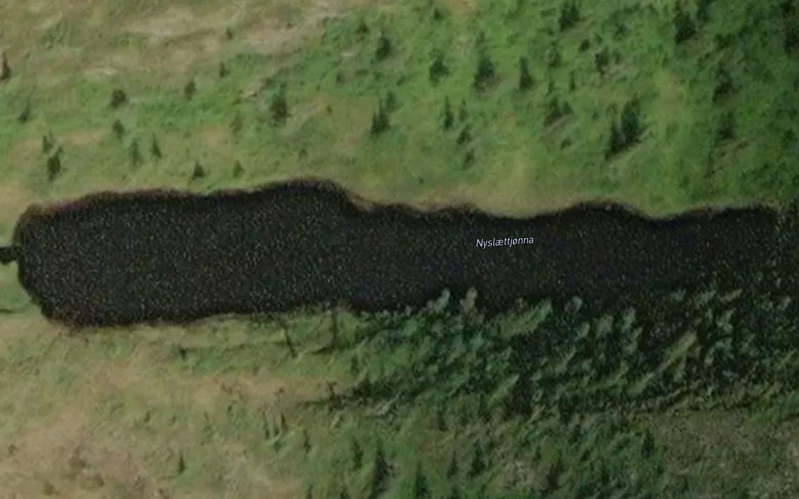 Nyslettjorna