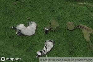 Mud Pond