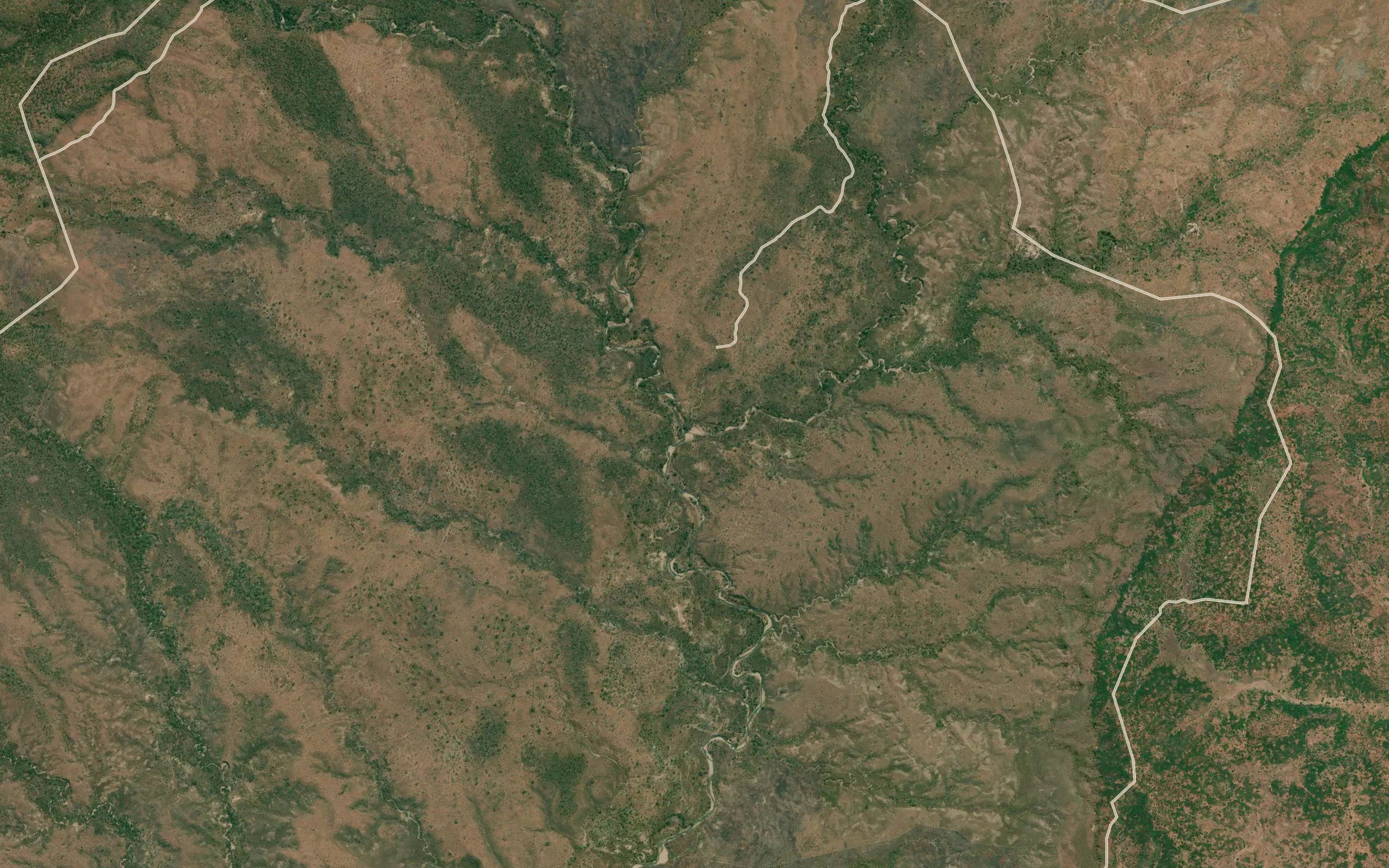 Mfungwa