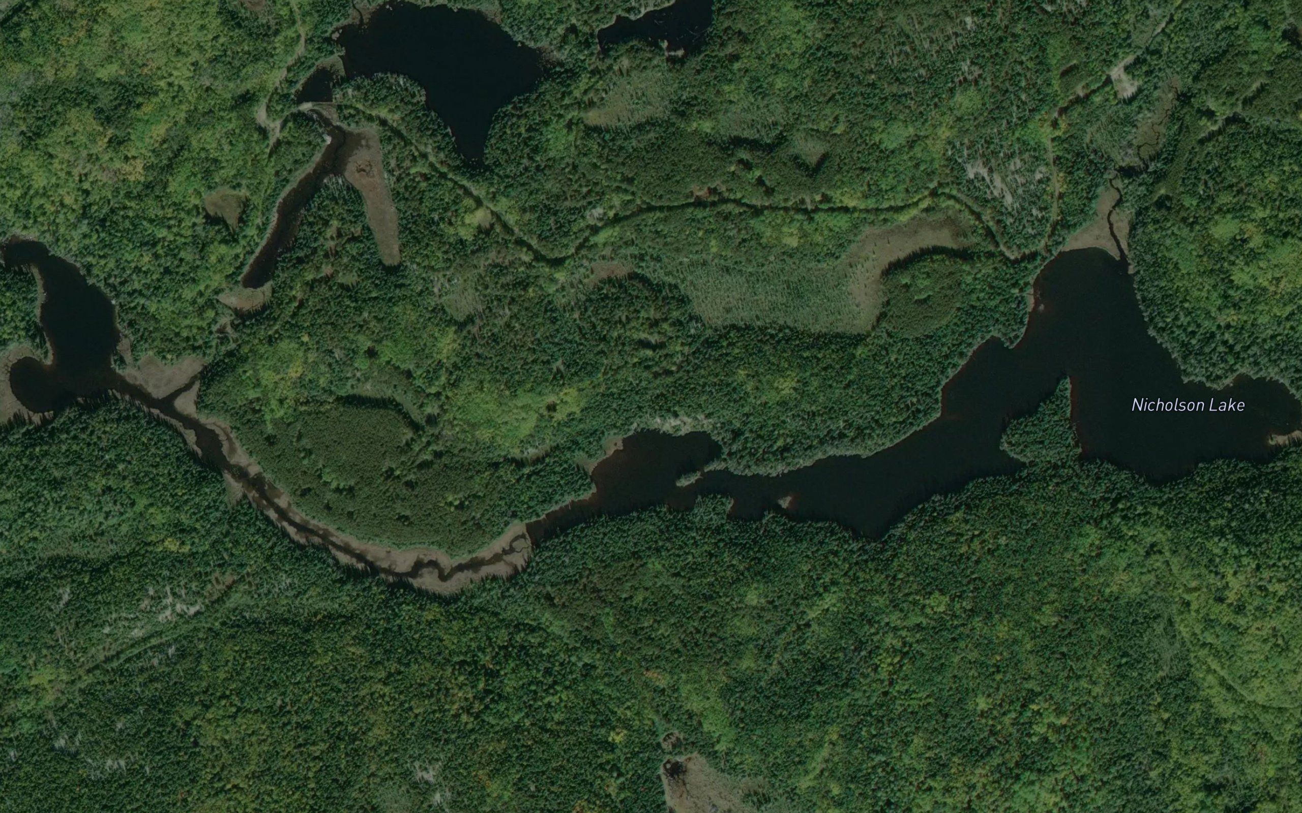 Nicholson Lake
