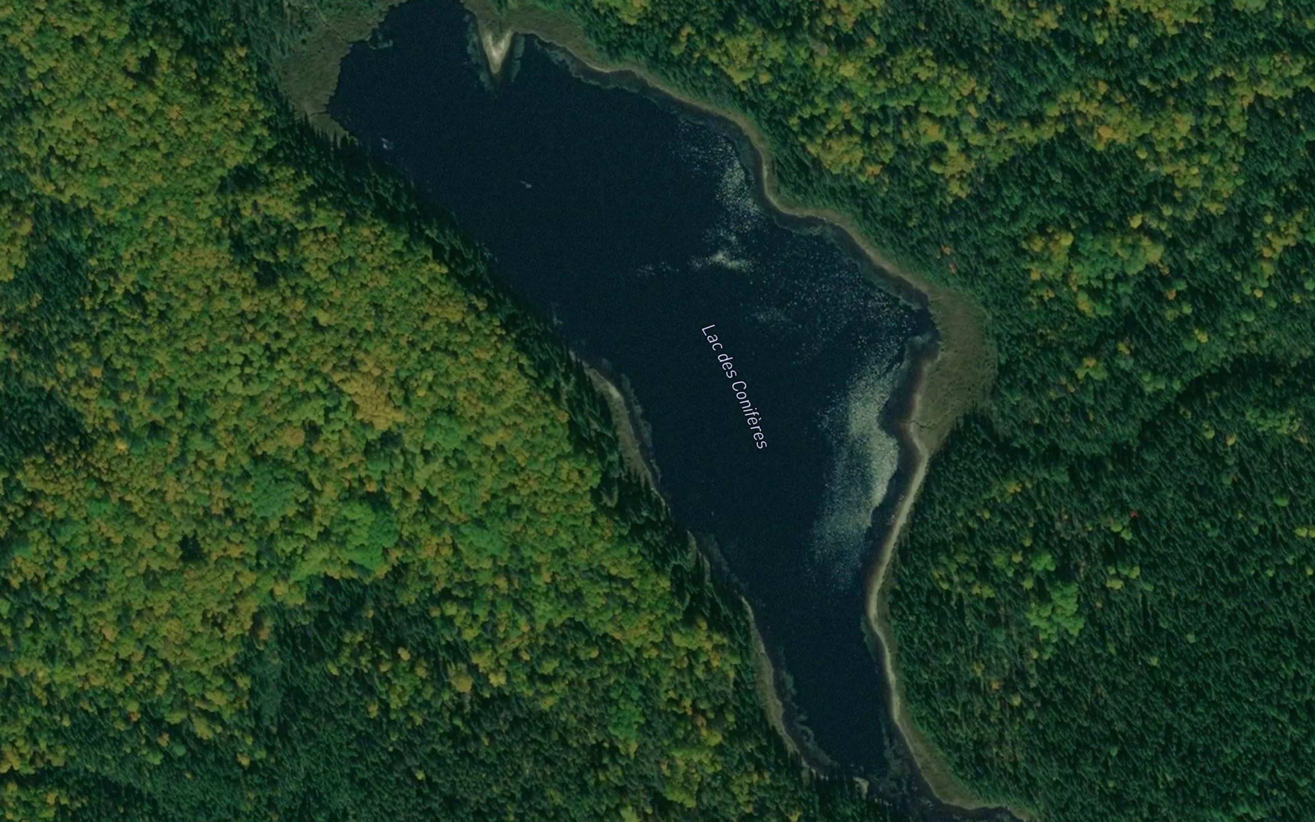 Lac des Coniferes