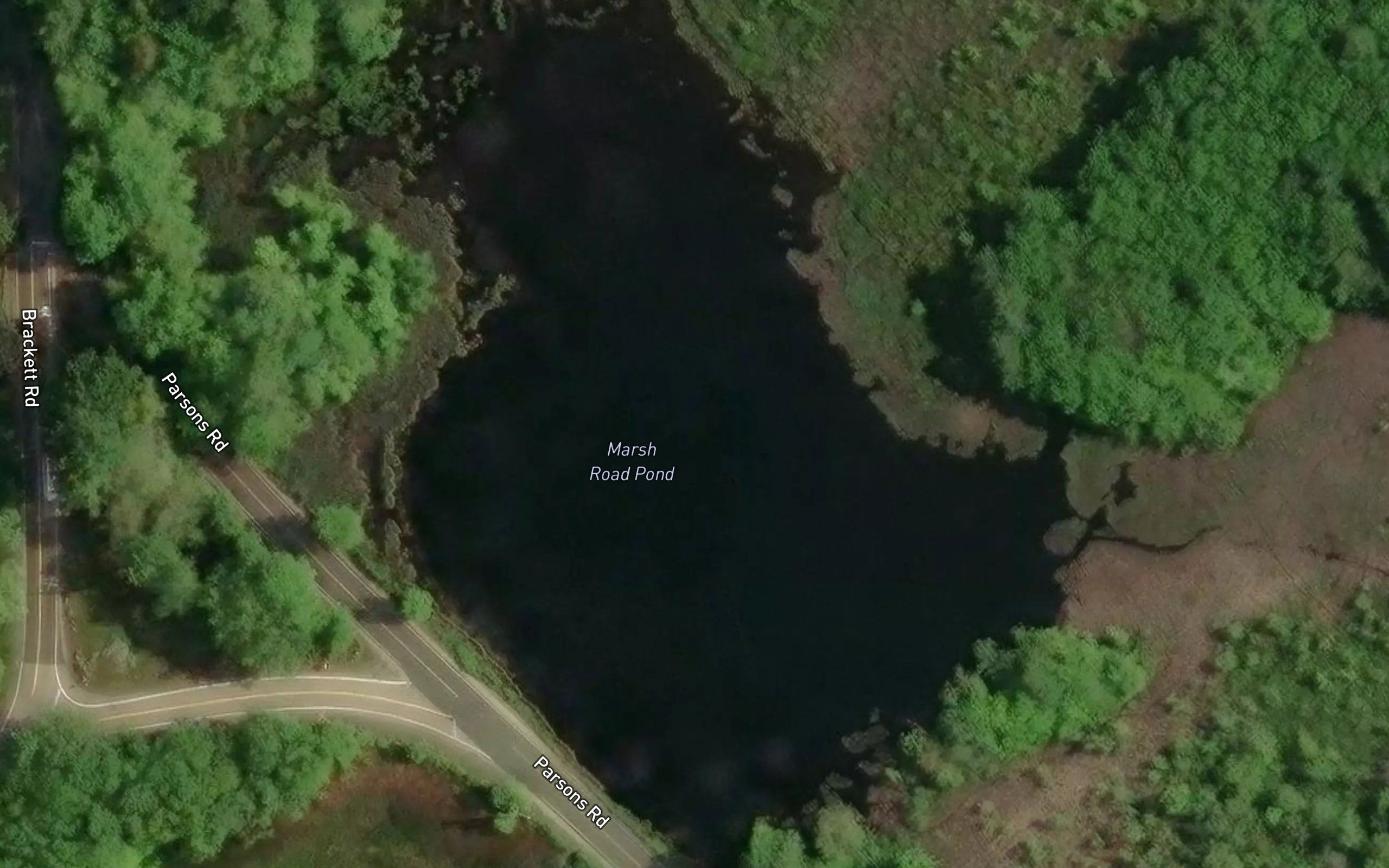 Marsh Road Pond