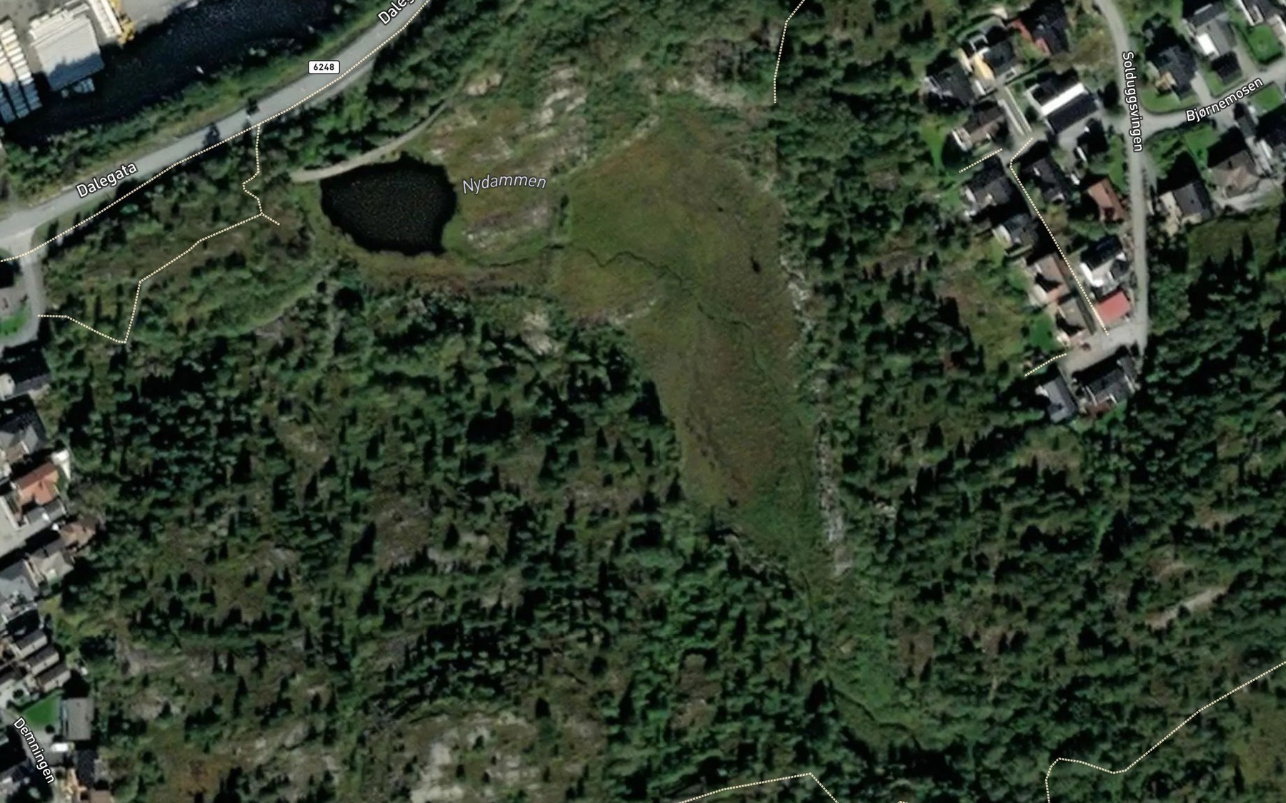Satellite map of the Nydammen