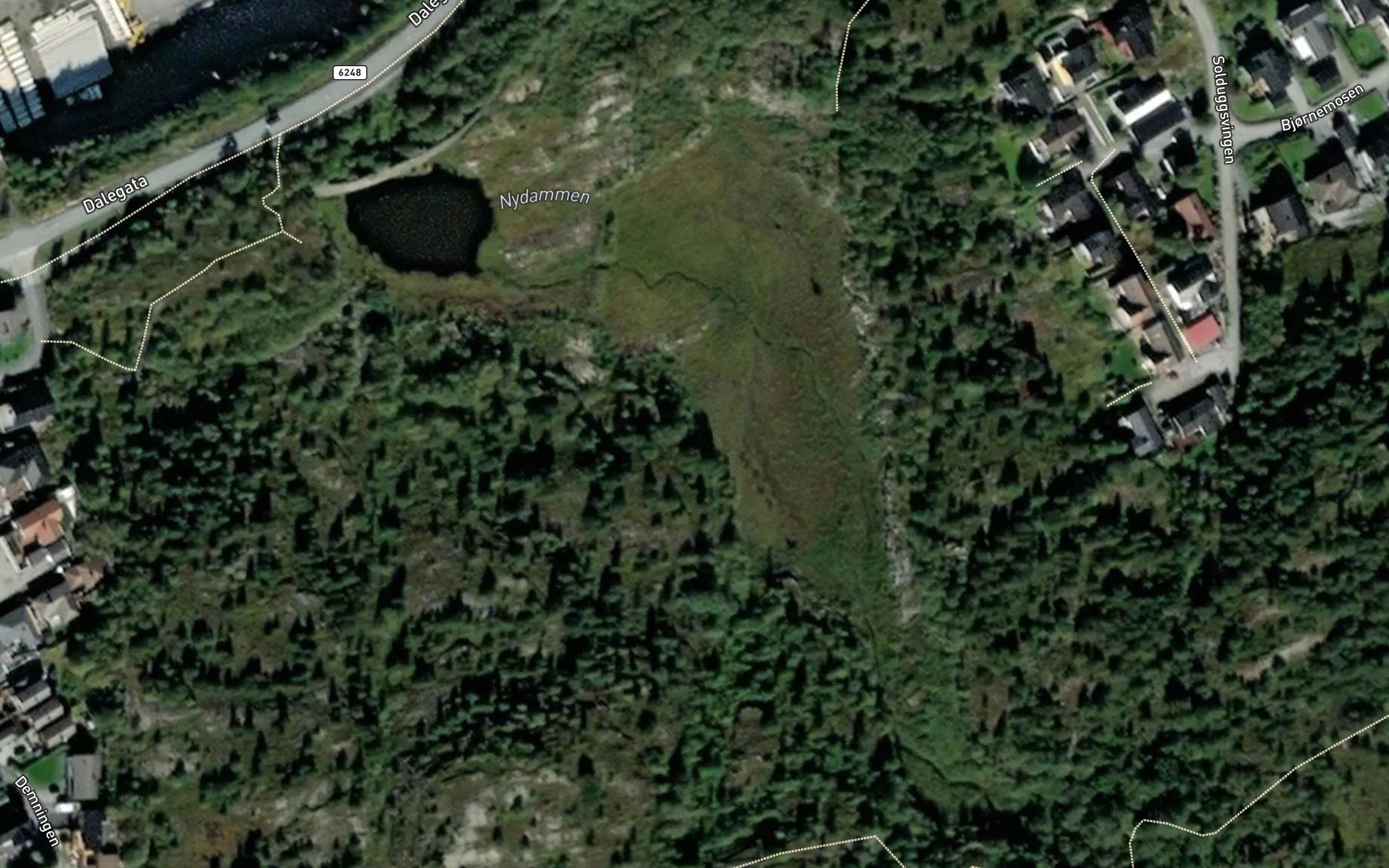 Nydammen