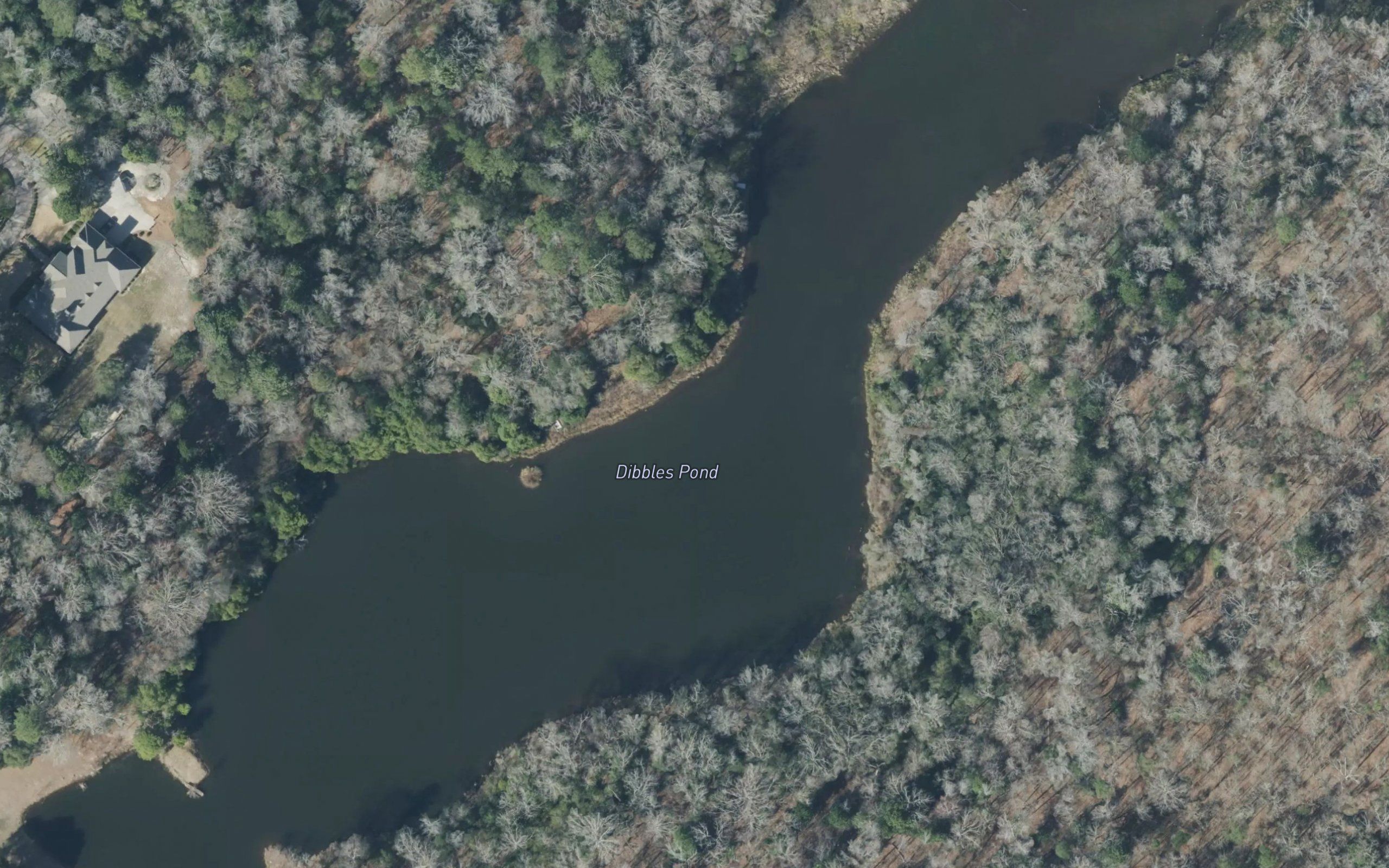 Dibbles Pond