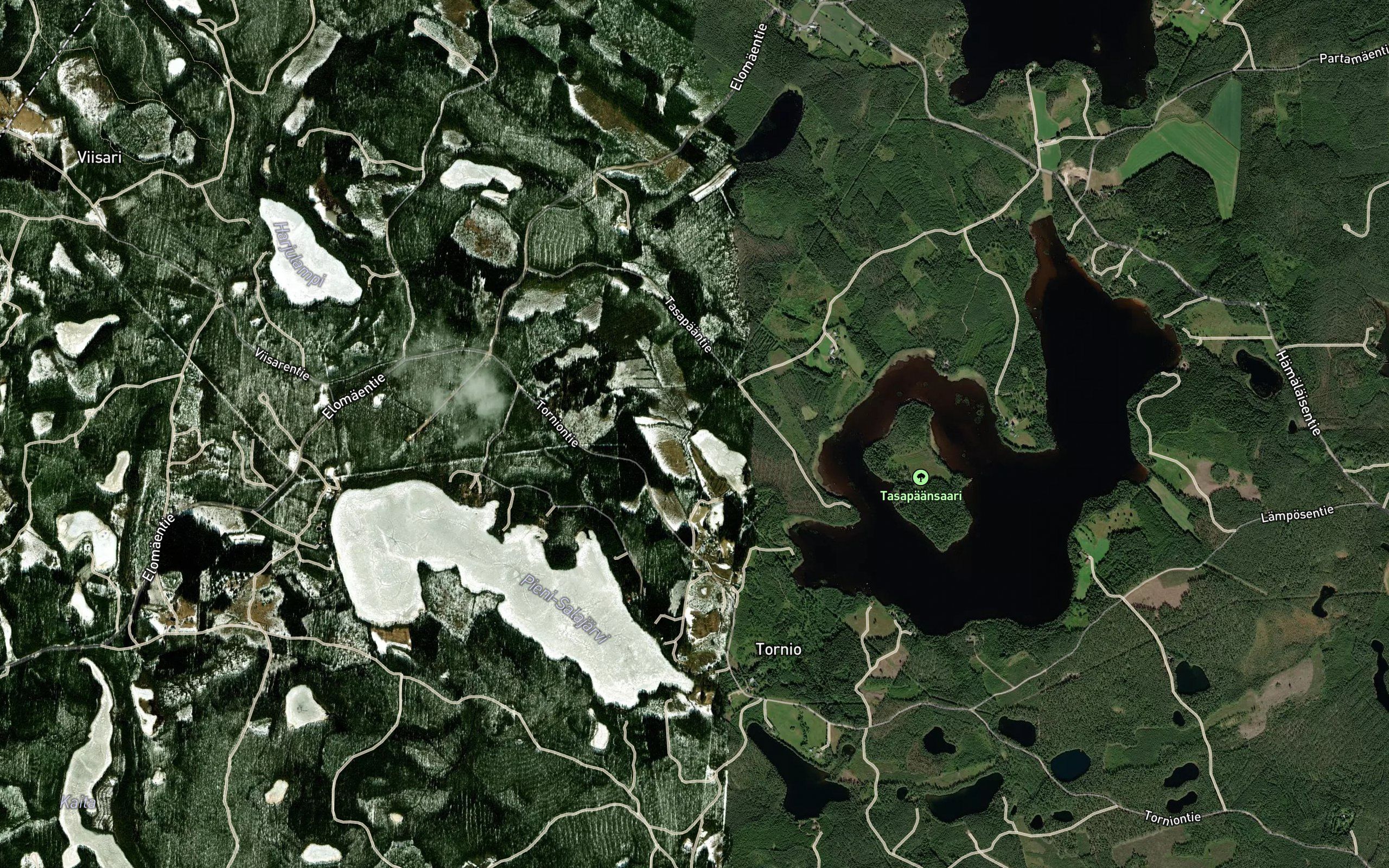 Viiskannanoja