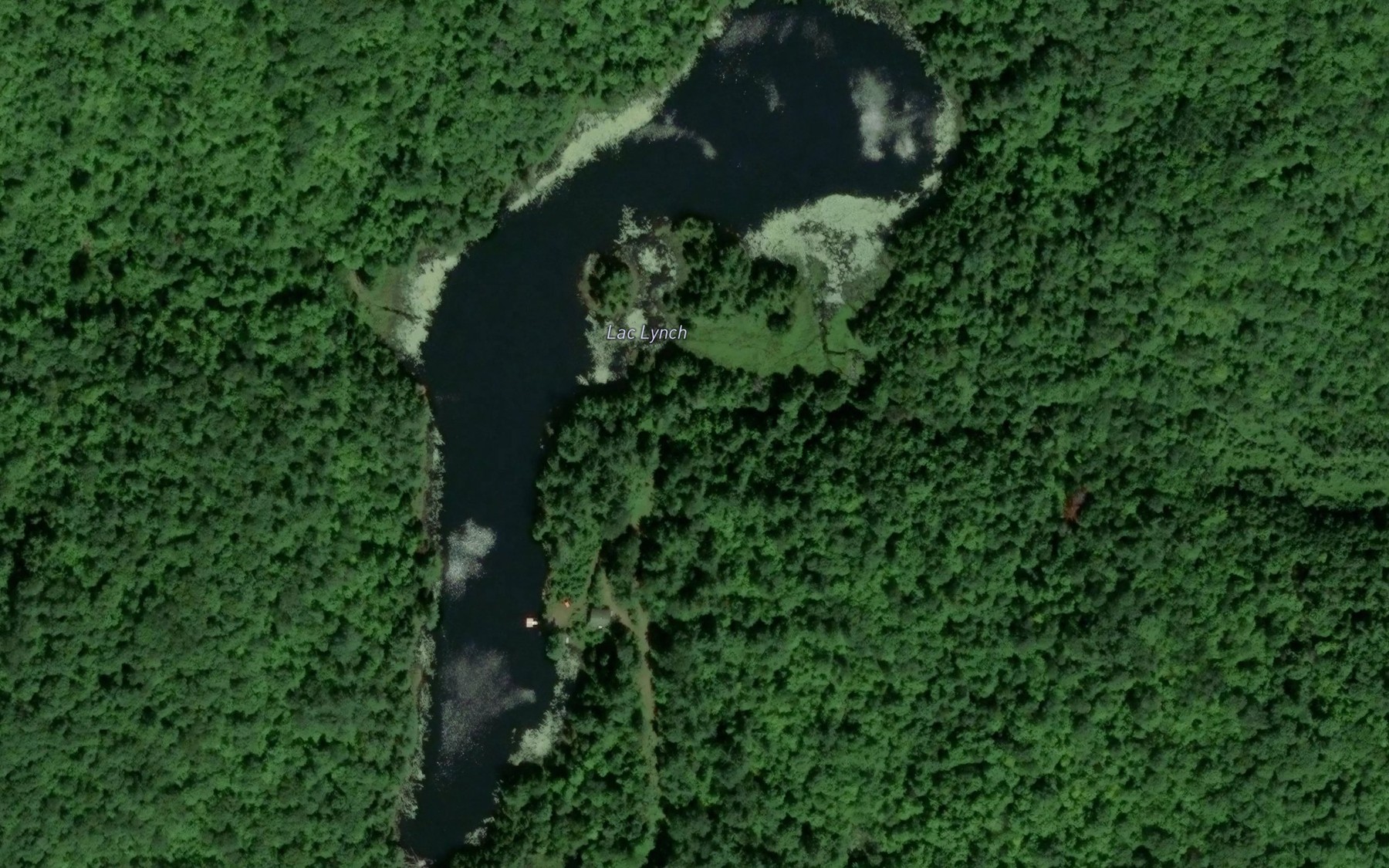 Satellite map of the Lac Lynch