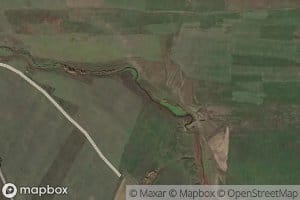 Odisa
