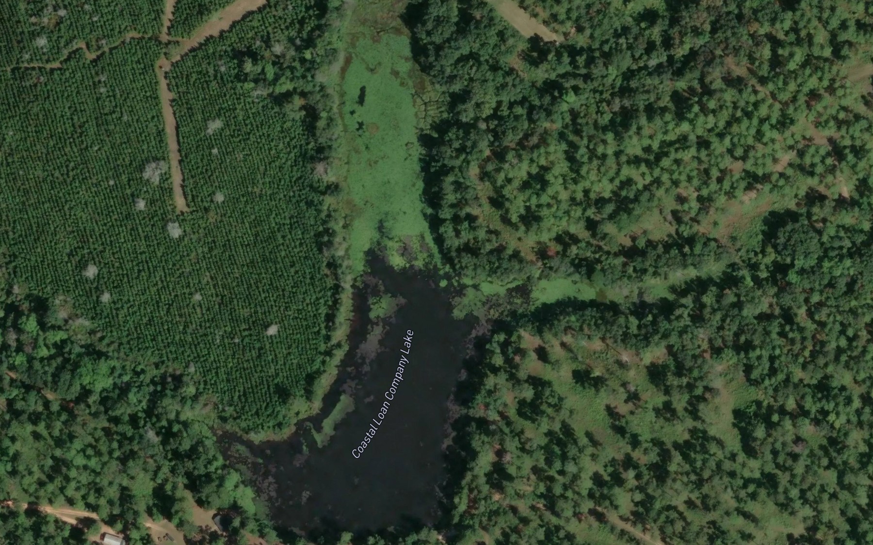 Satellite map of the Coastal Loan Company Lake