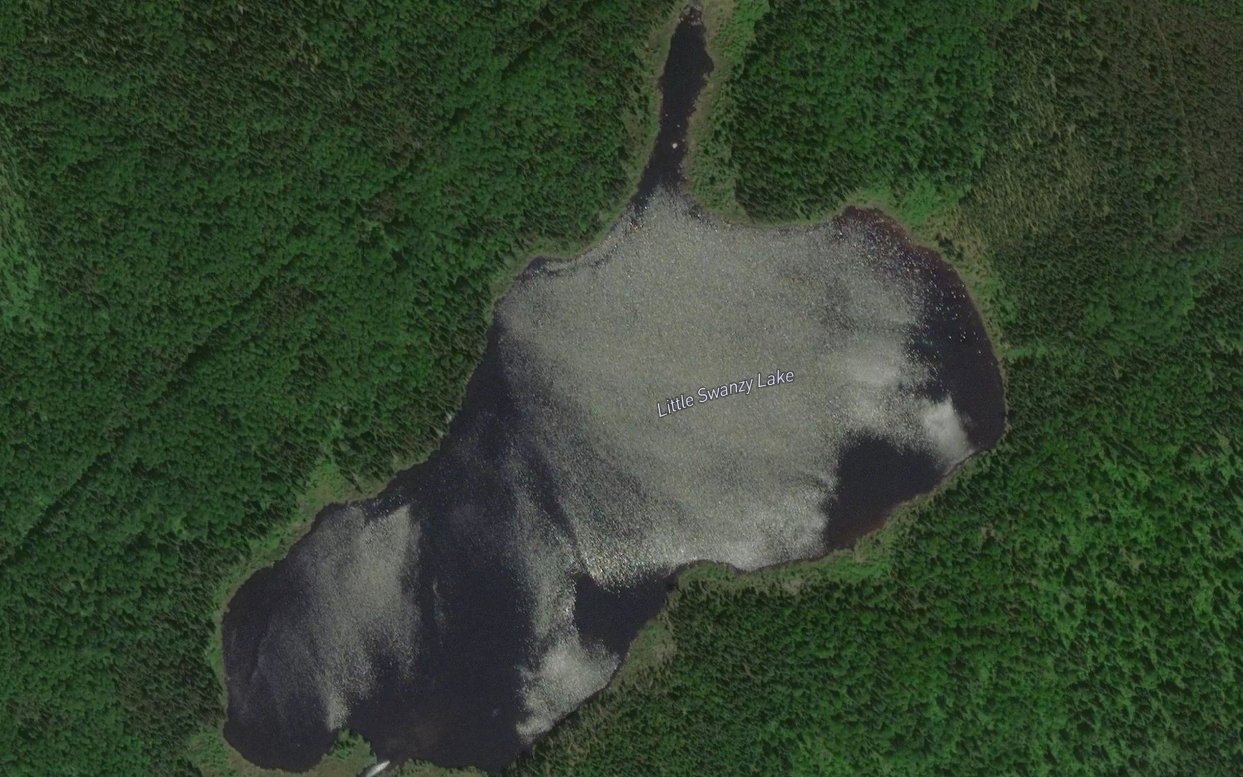 Satellite map of the Little Swanzy Lake