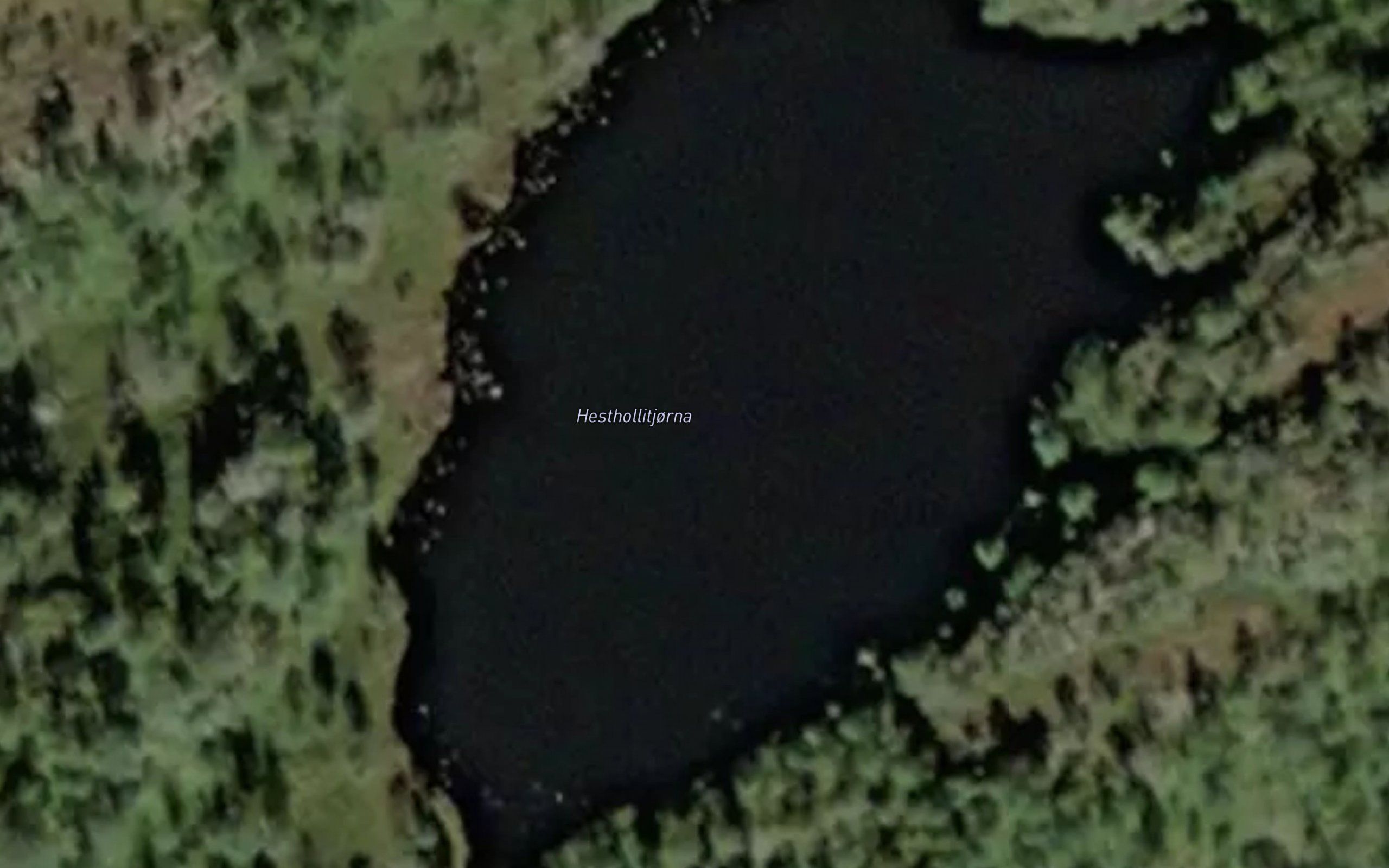 Hesthollitjorna