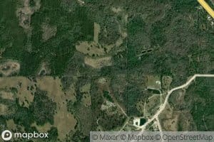 Middle Warrior Creek
