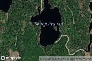 Skalpelivatnet