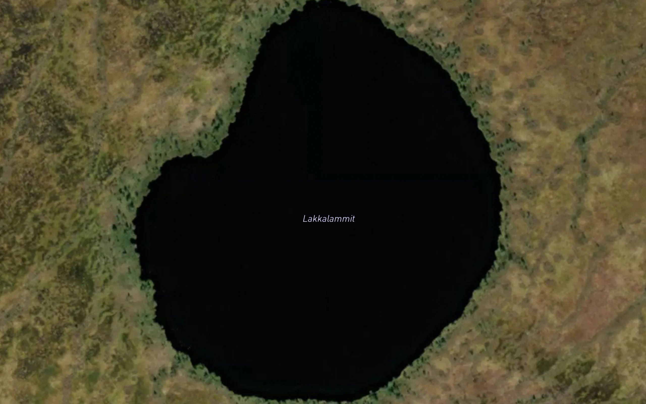 Lakkalammit