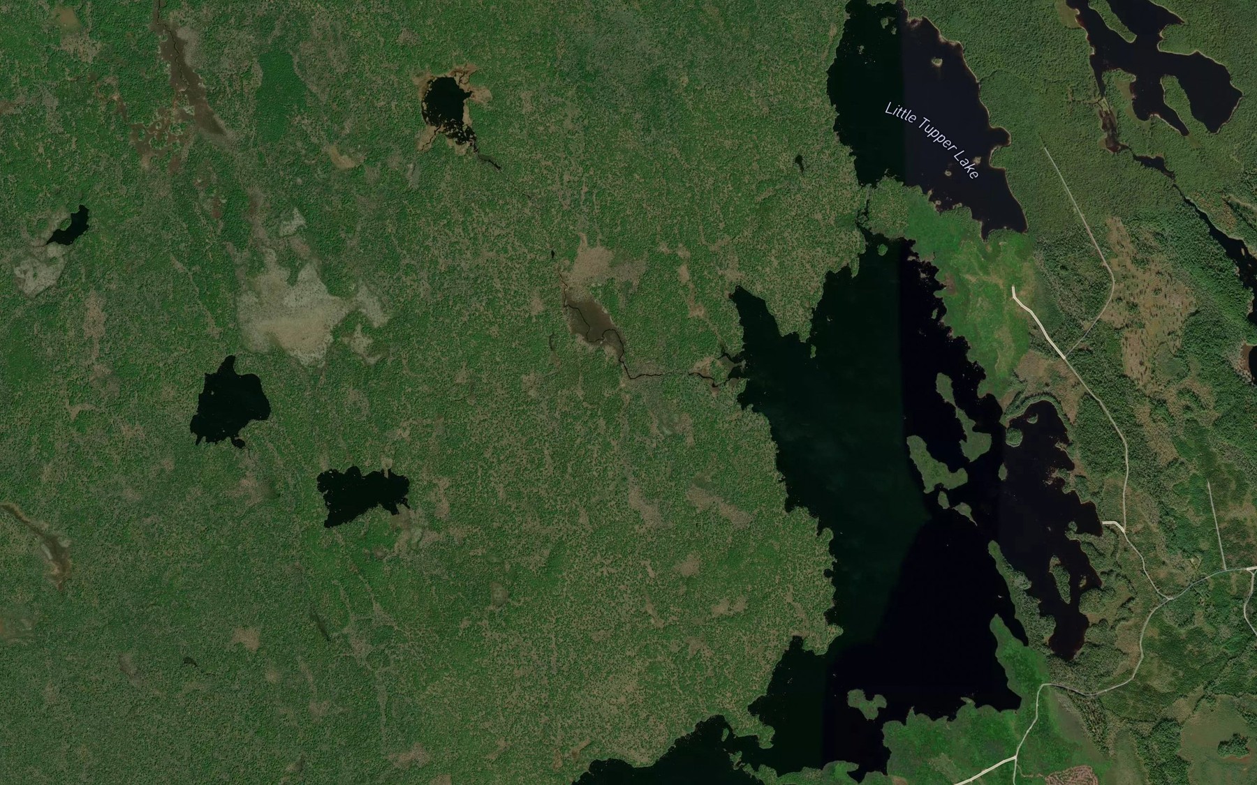 Satellite map of the Oscar Lake Brook