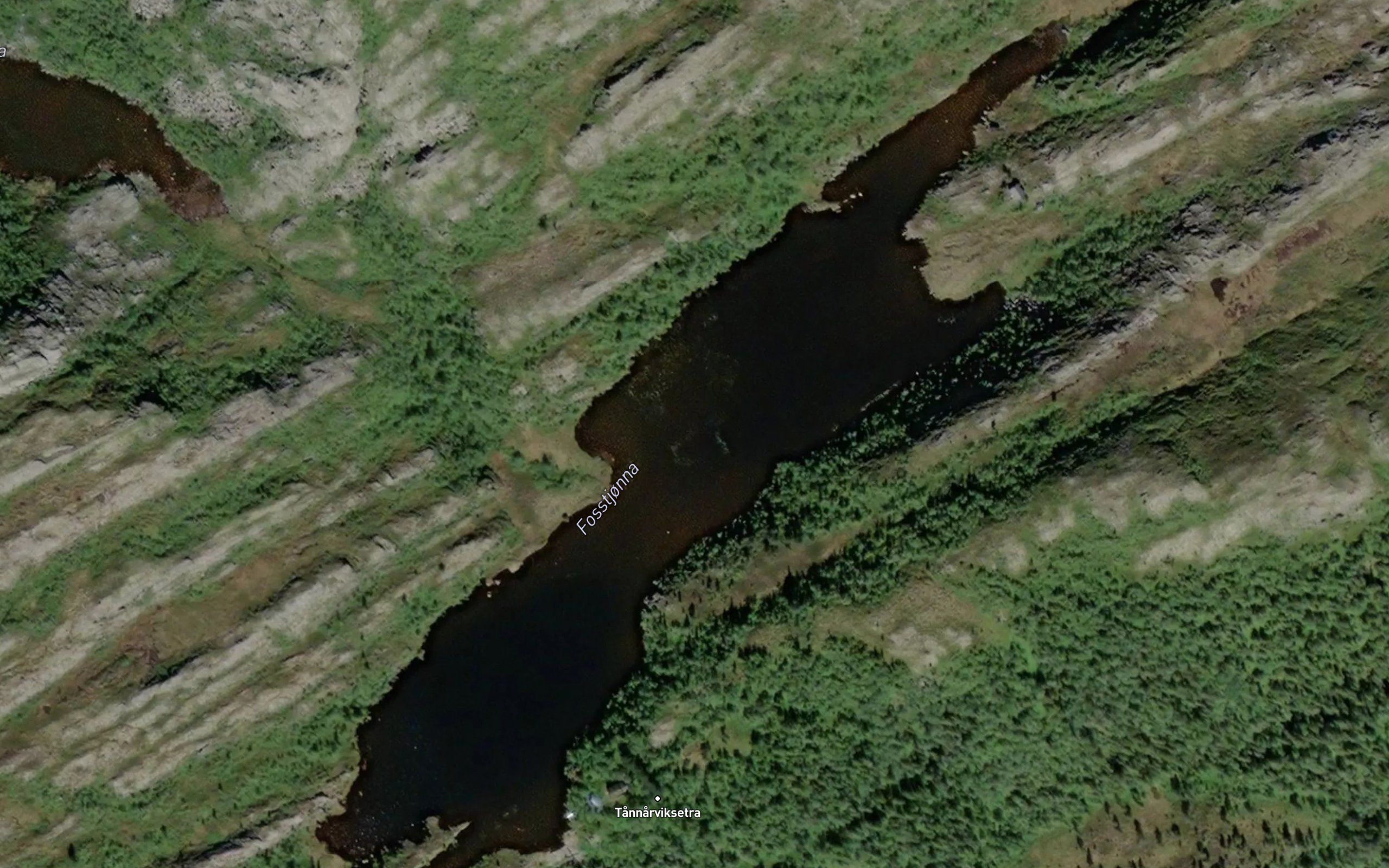 Fosstjorna