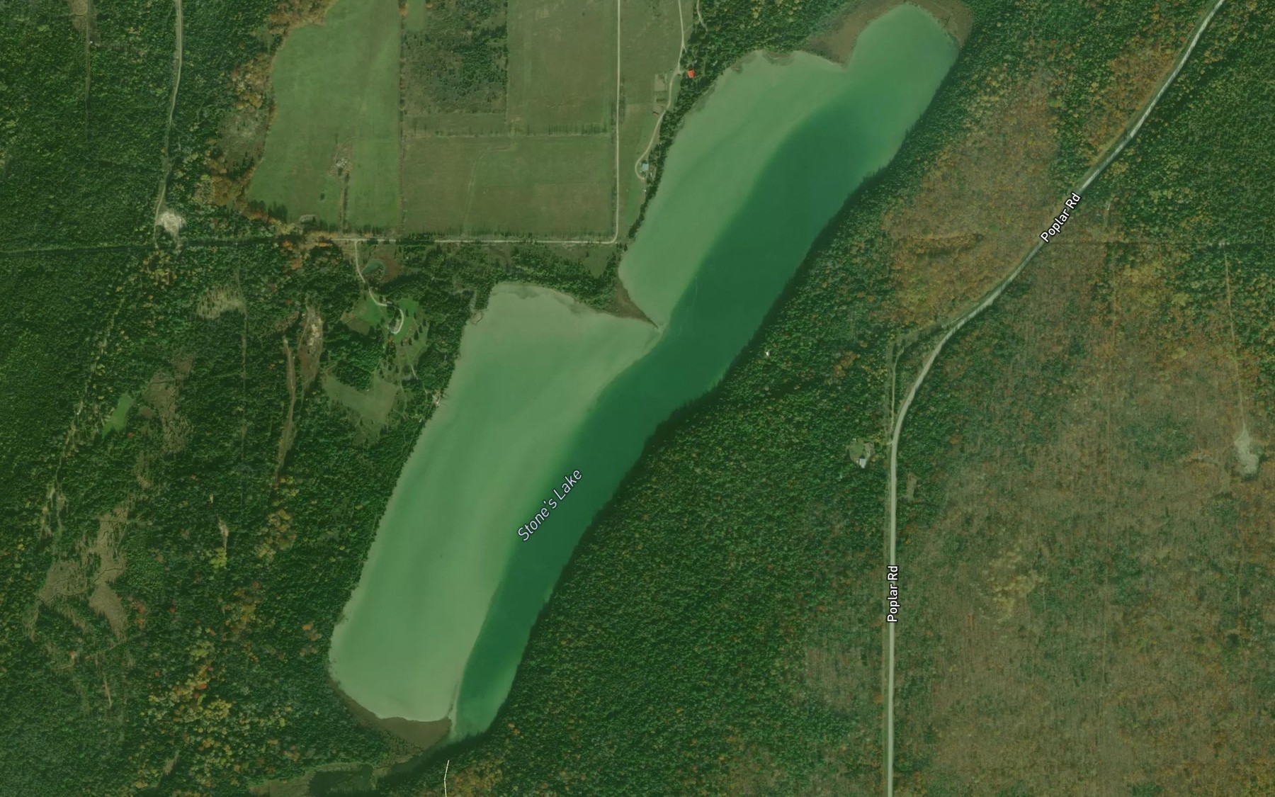 Satellite map of the Stone's Lake