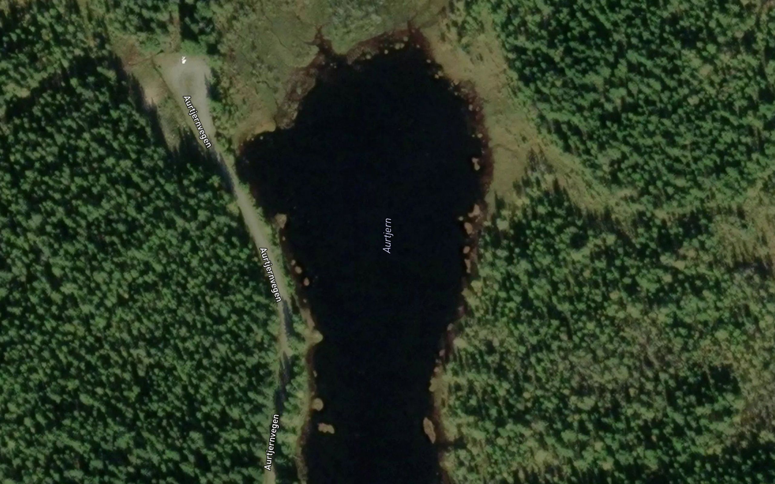 Aurtjernet