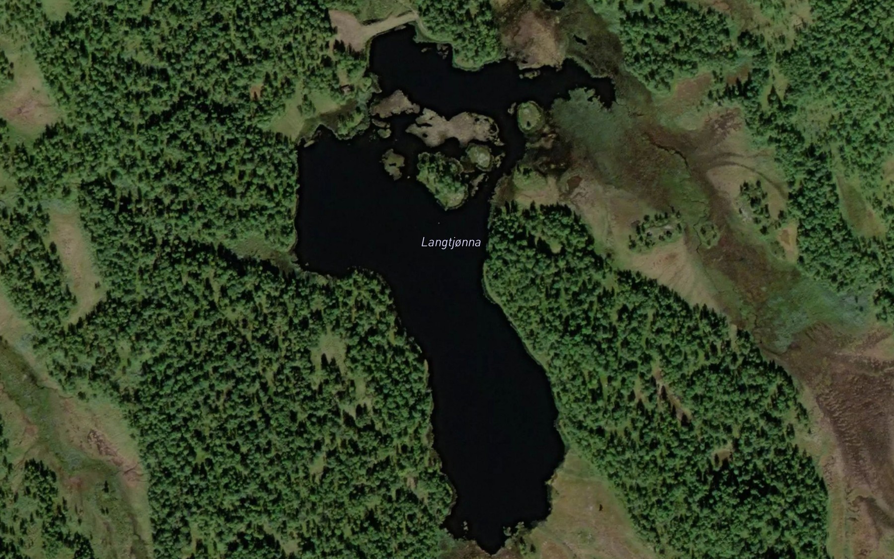 Satellite map of the Langtjorna